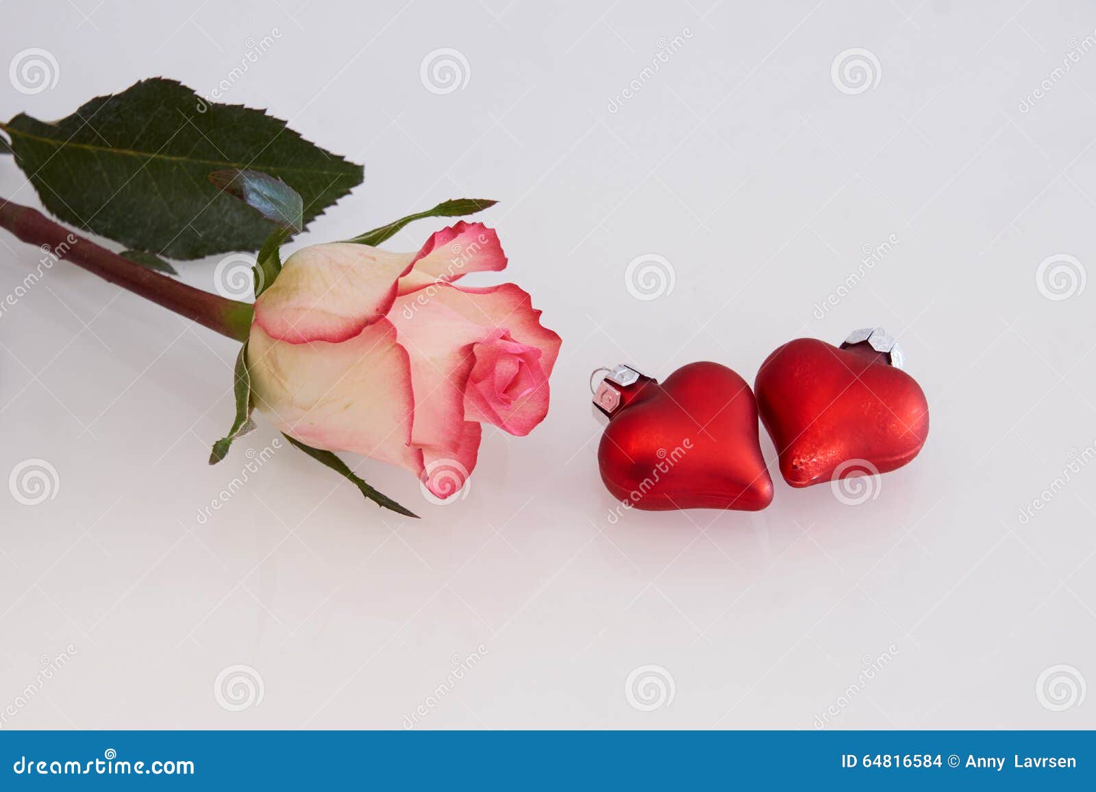 Red and White Rose and Hearts Stock Photo Image of romance, flower