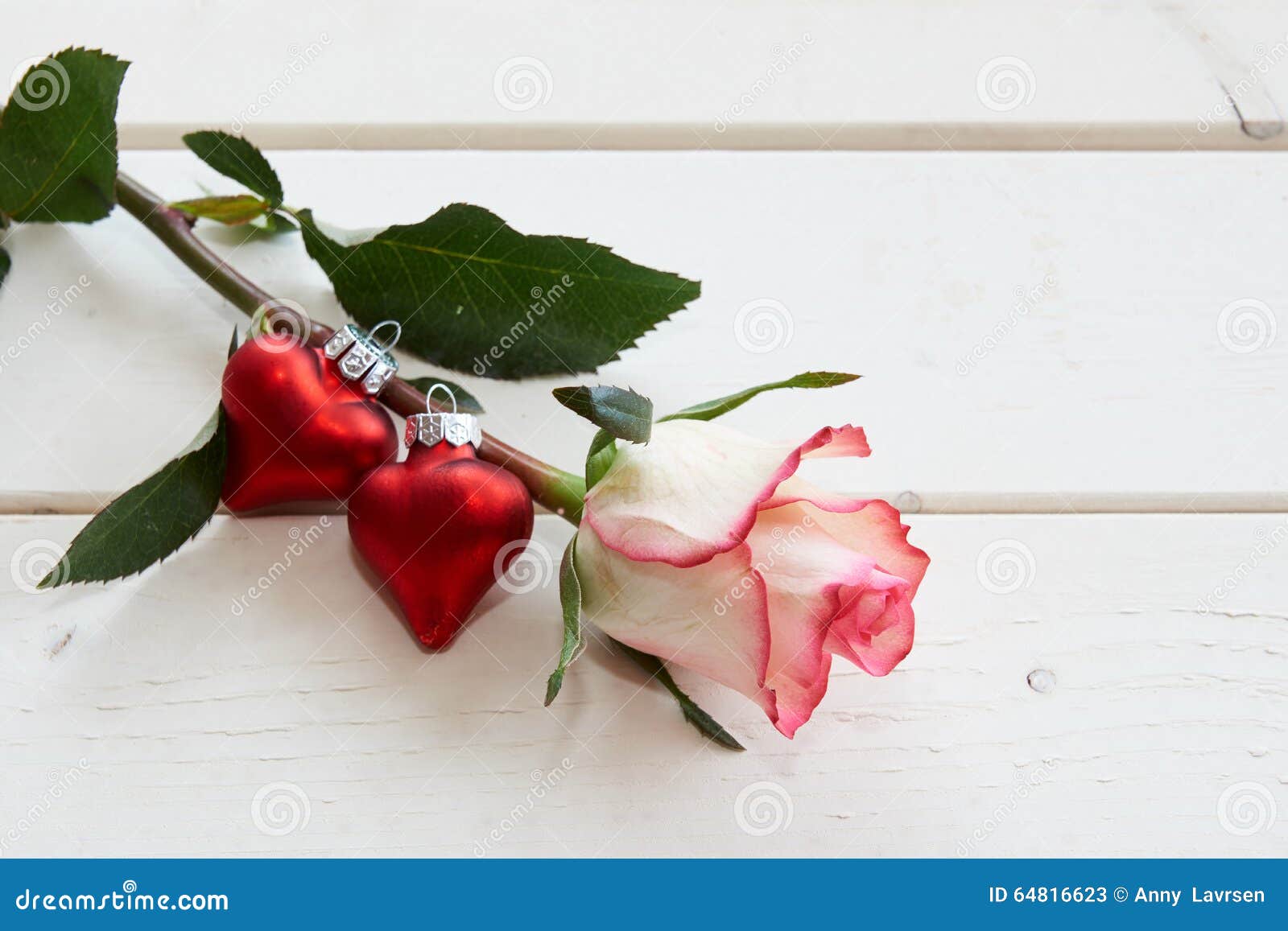 Red and White Rose and Hearts Stock Image Image of white, christmas