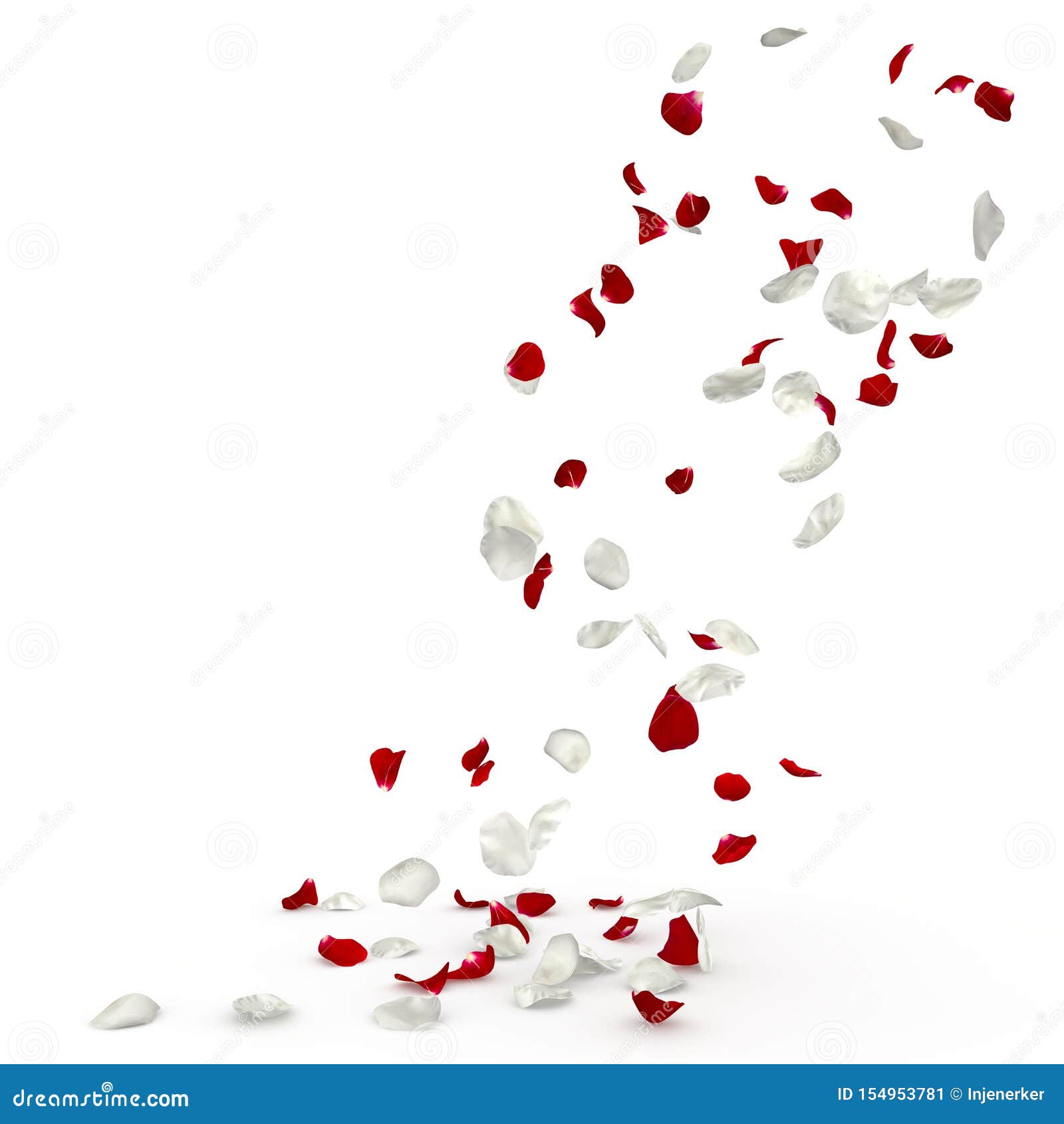 Red and White Rose Petals Fall To the Floor Stock Illustration