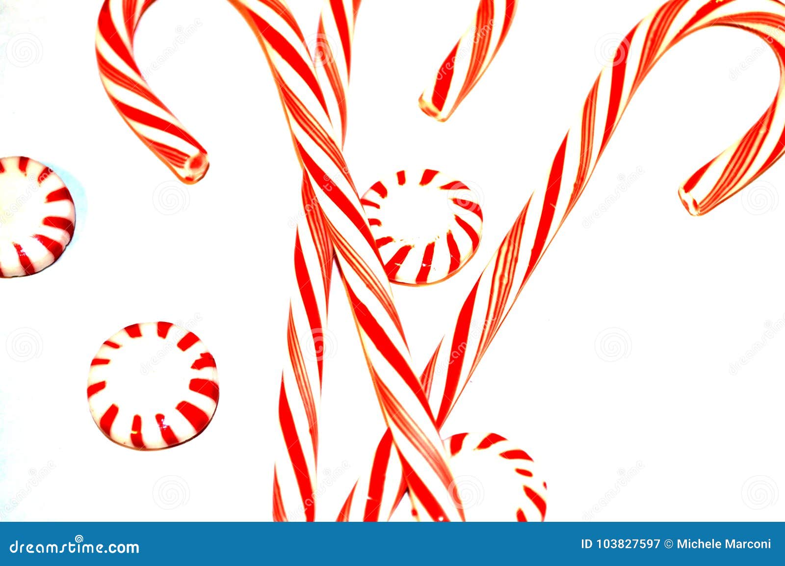 Three Red and White Striped mint flavor Candy Cane Traditional Christmas Holiday Candy that Santa Claus brings and is hung on the Christmas Tree