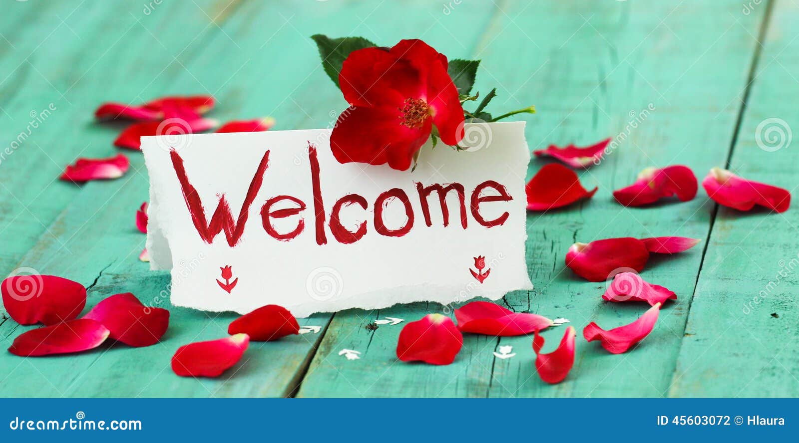 red-white-welcome-place-card-red-flower-rose-petals-antique-green-rustic-wood-table-tent-note-roses-teal-blue-45603072.jpg