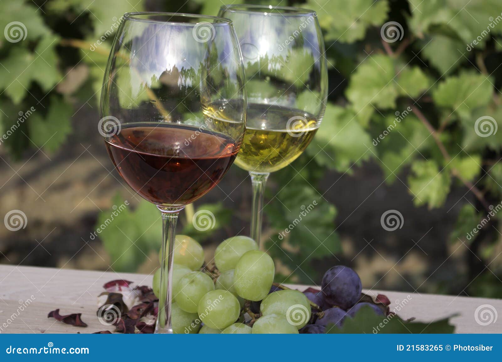 Red and white wines stock image. Image of background - 21583265