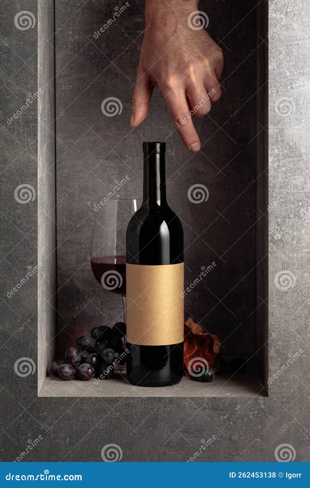 Red wine with blue grapes stock photo. Image of harvest 262453138