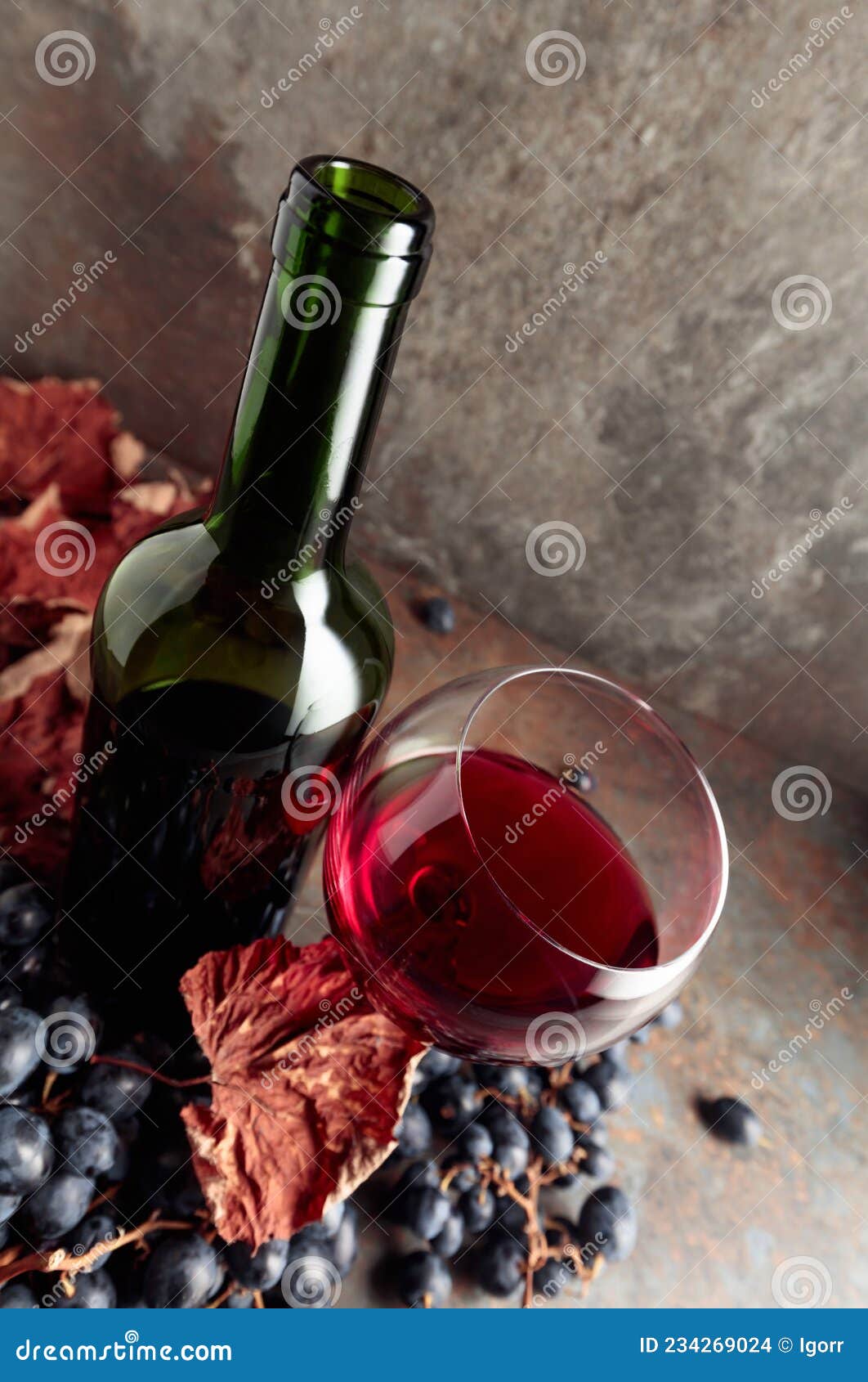 Red wine and blue grapes stock photo. Image of berry 234269024