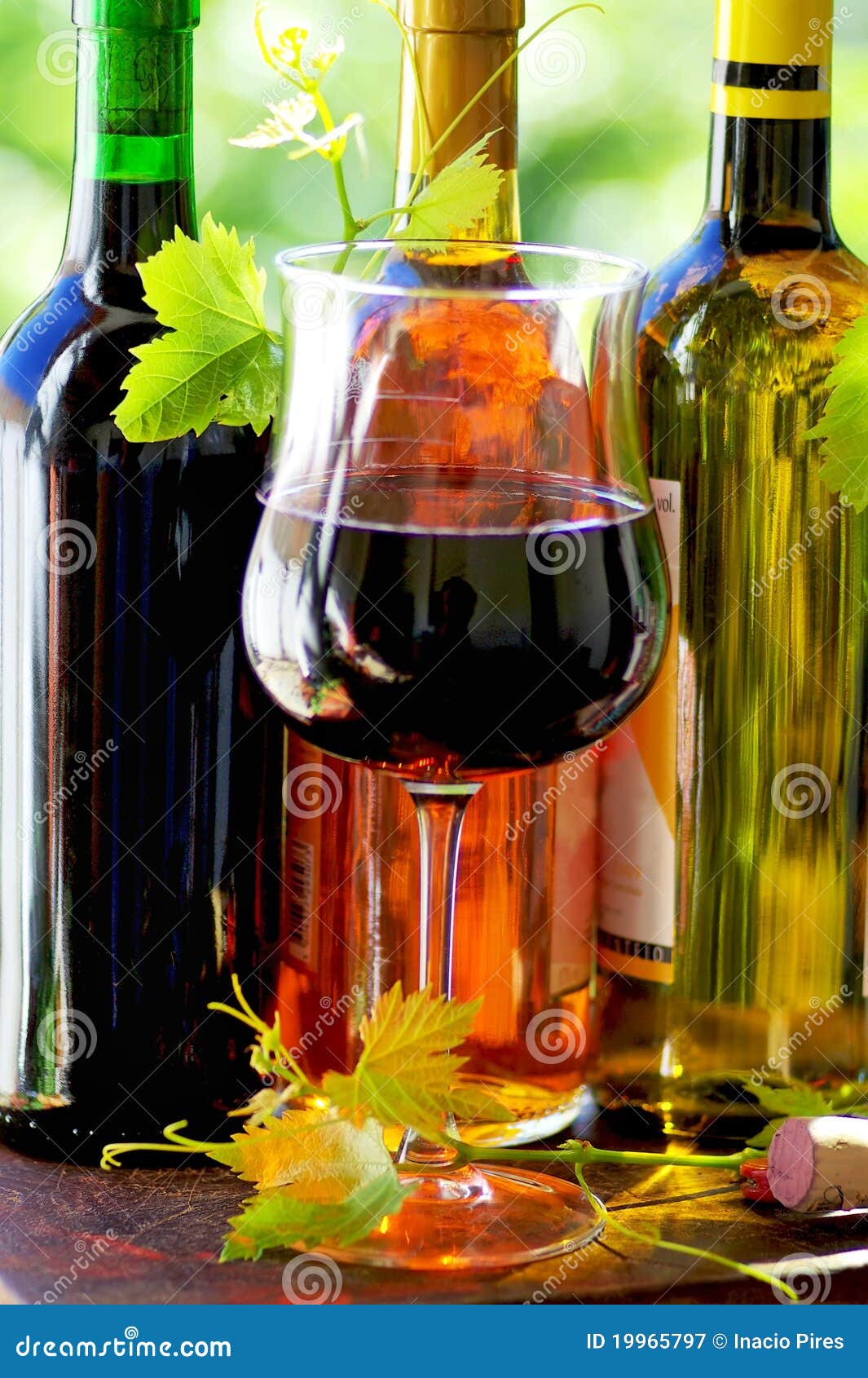 Red Wine Glass and Grapevine Leaves Stock Image - Image of berry ...