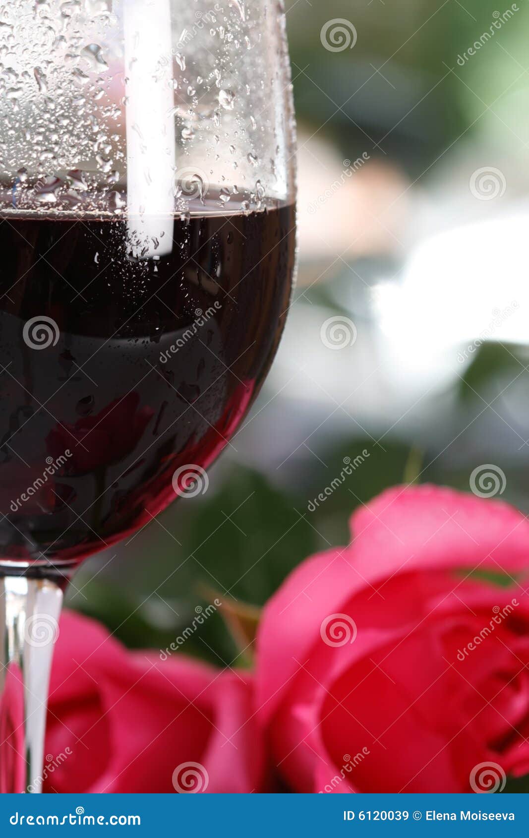 Red Wine Glass with Roses and Water Drops Stock Image Image of flower