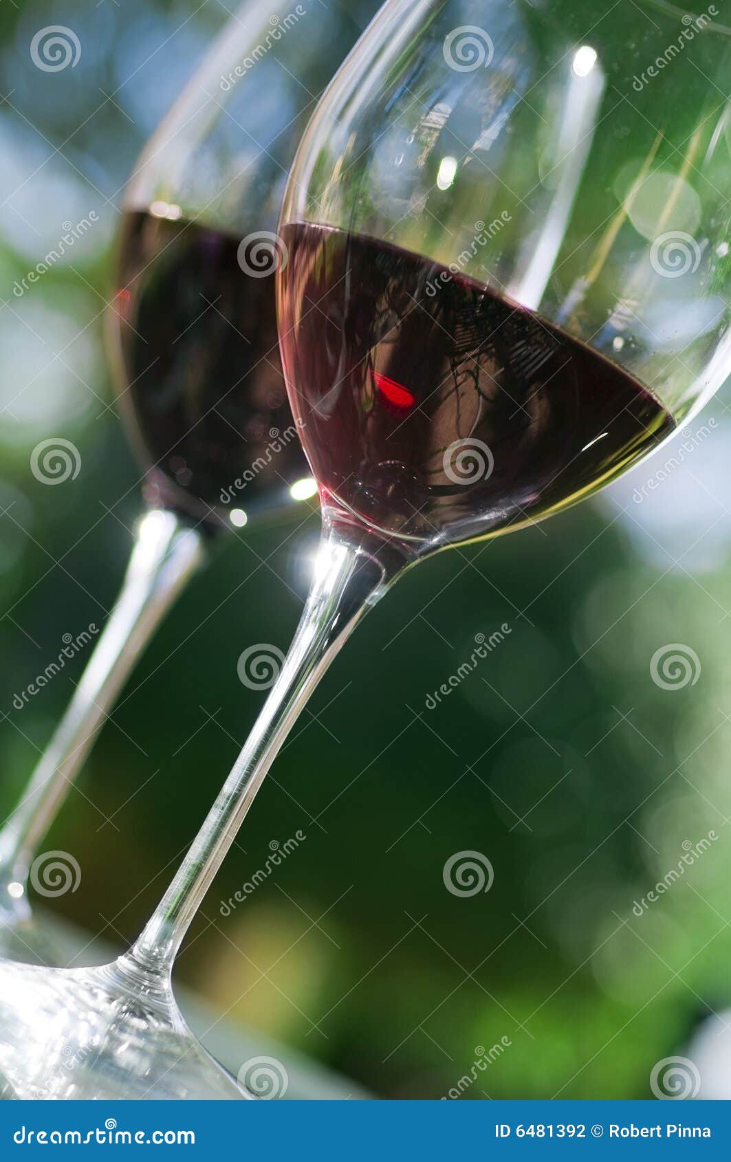 Red wine glasses stock photo. Image of glass, outdoor 6481392