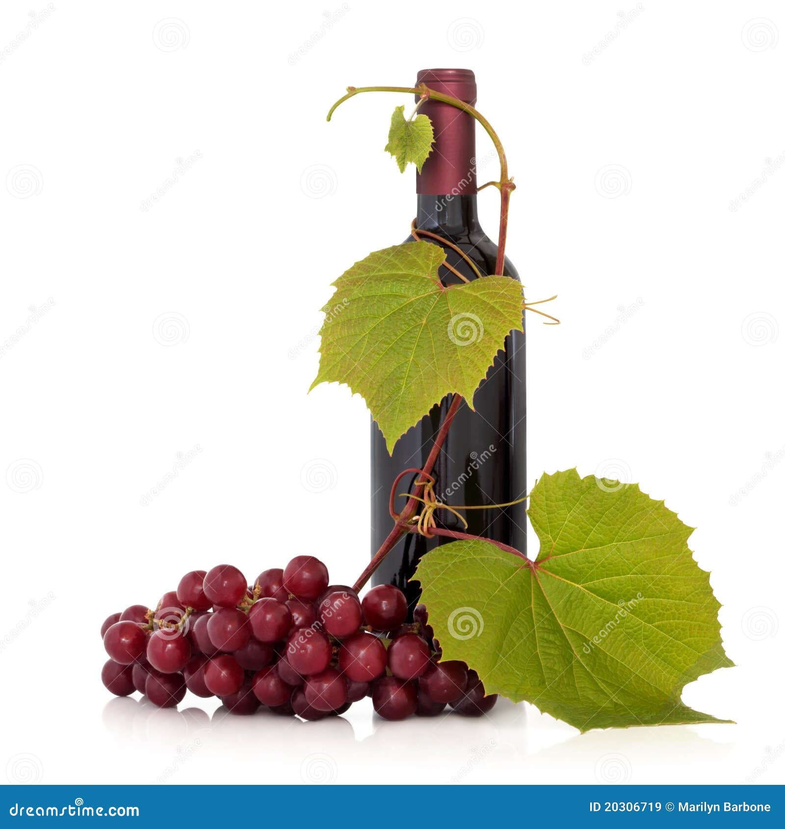 red wine and grape vine