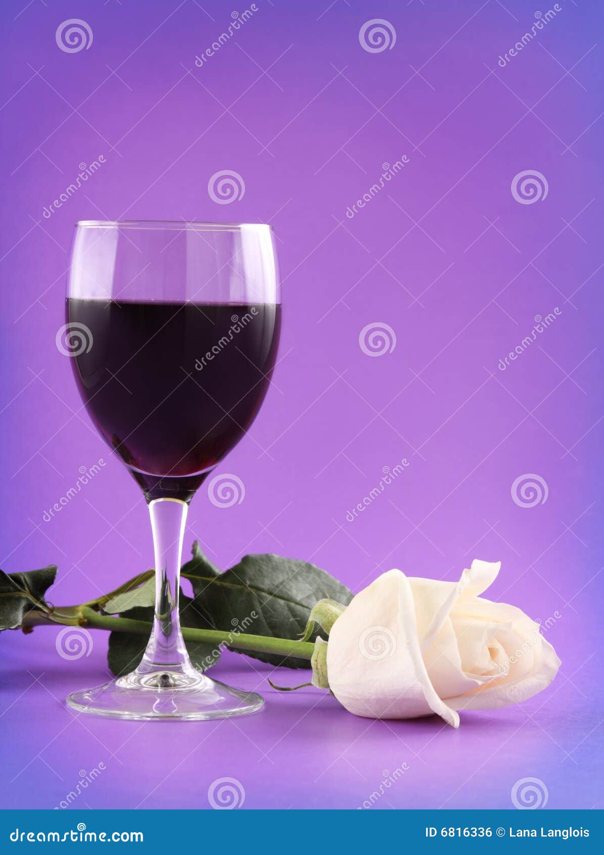 Red wine and white rose stock photo. Image of wine, rose 6816336