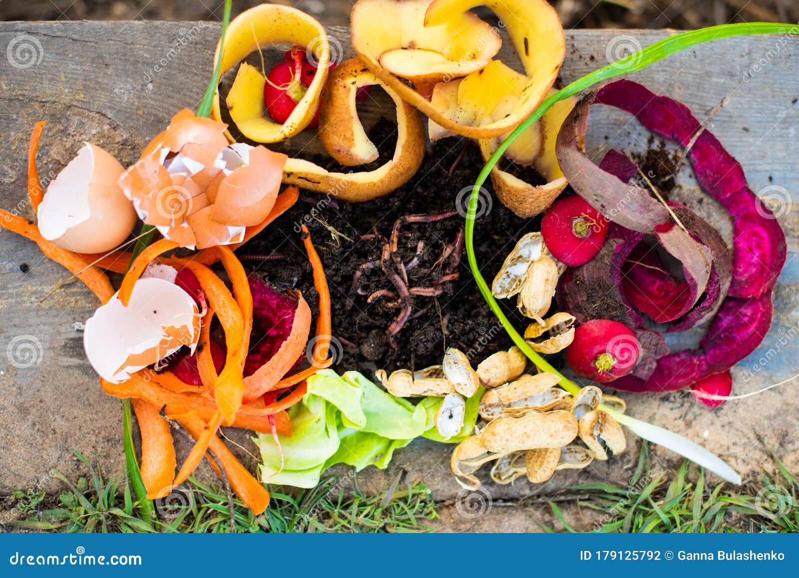Red Worms among Solid Waste in the Backyard. Stock Photo Image of