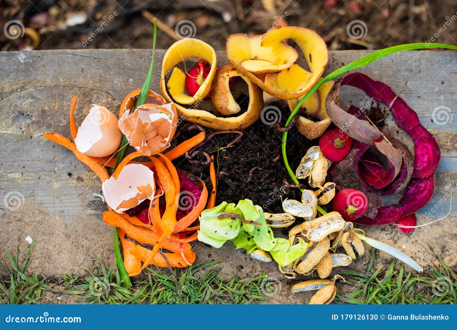 Red Worms among Solid Waste in the Backyard. Stock Photo Image of