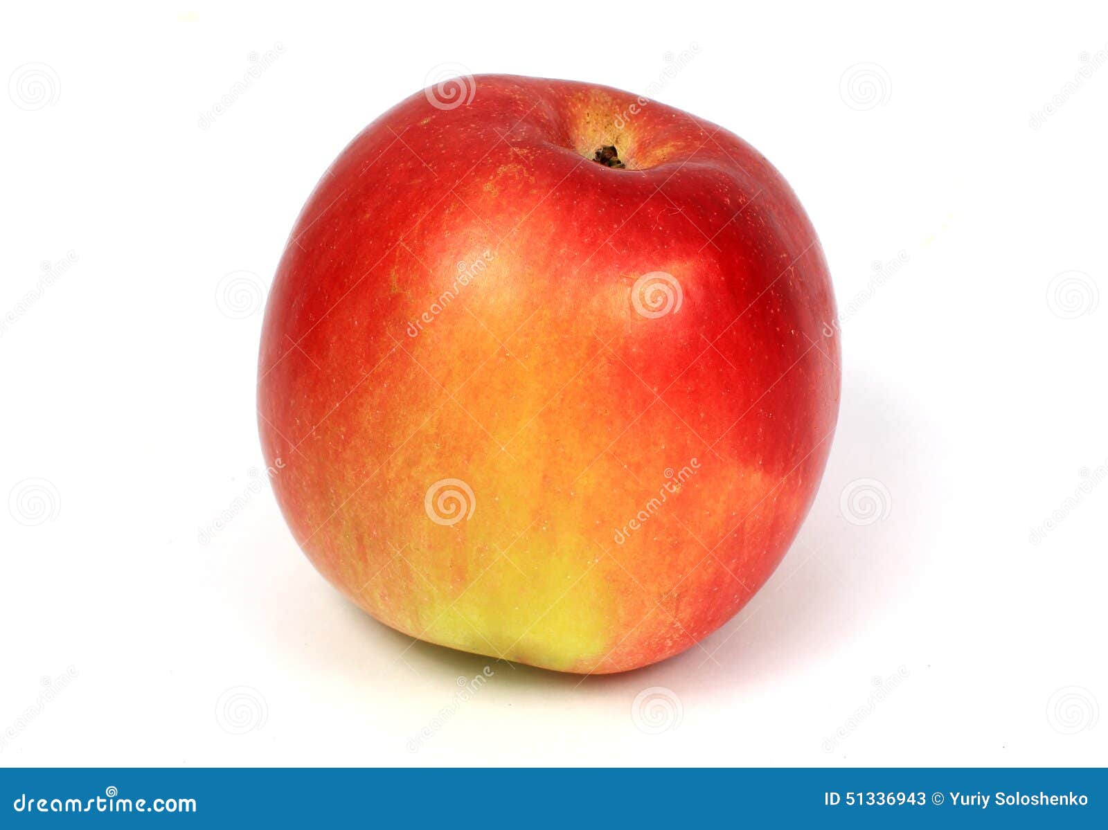 Red yellow apple stock image. Image of fetus, product 51336943