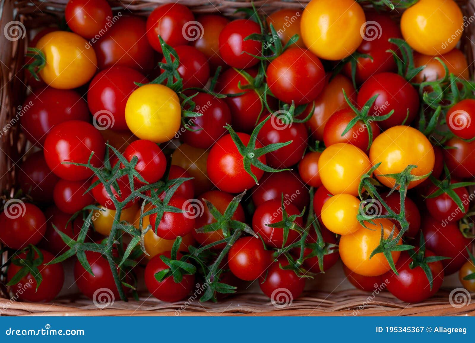 Red And Yellow Cherry Tomatoes Top View Harvest Vegetables Tomato On