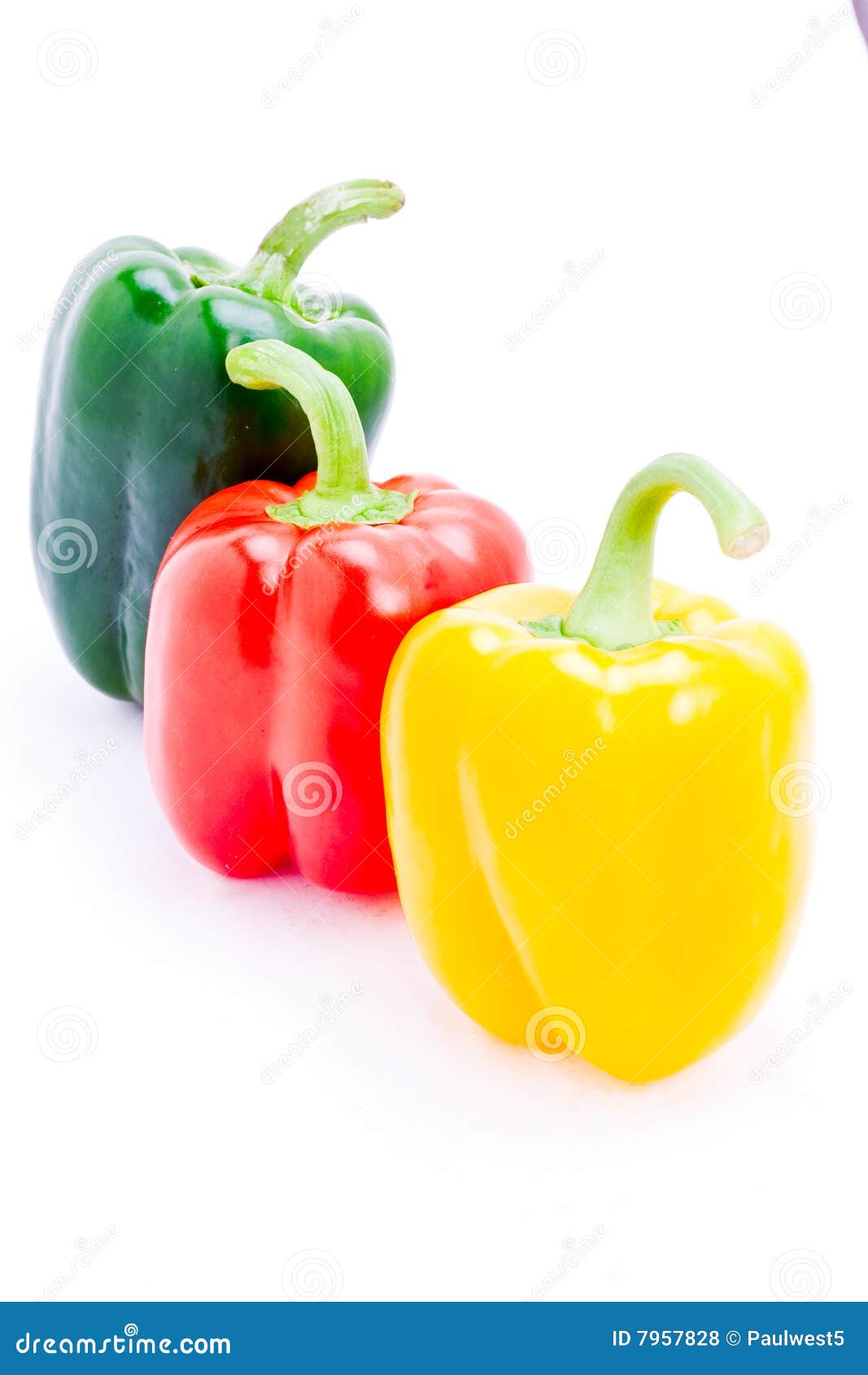 Red Yellow and Green Fresh Peppers Stock Photo Image of tasty