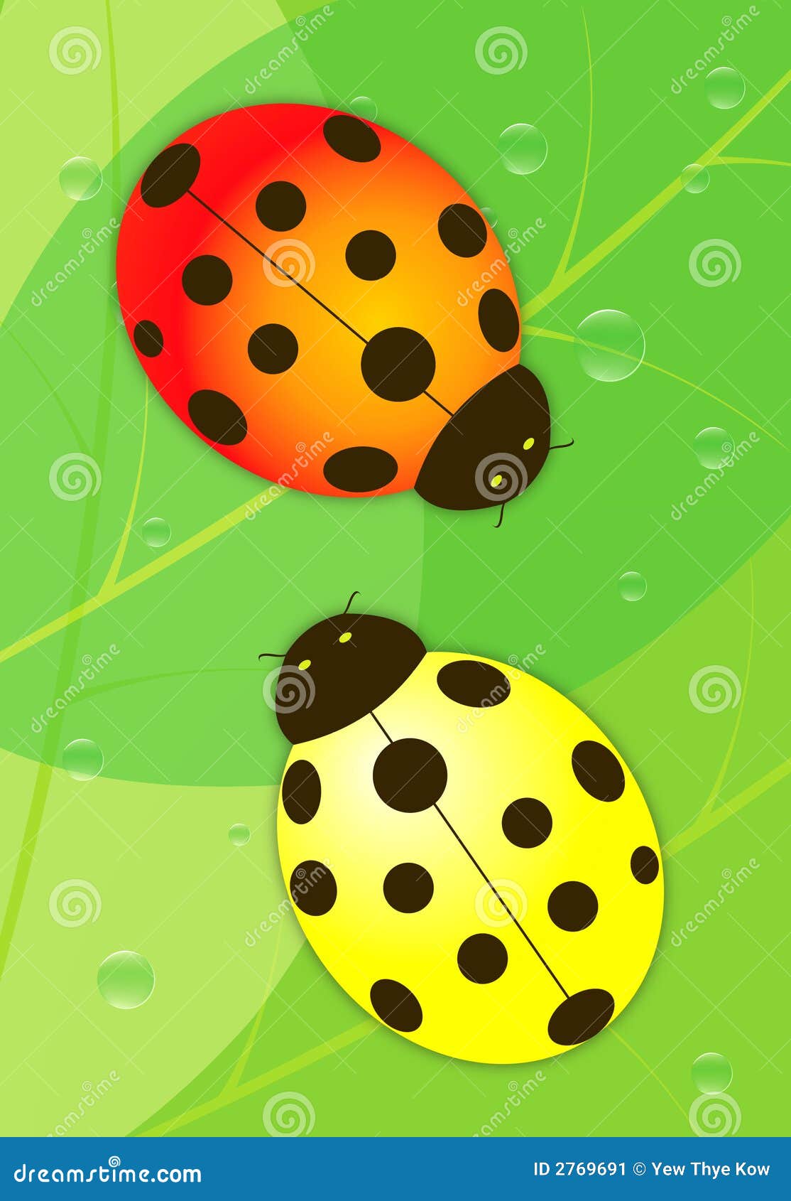 The Red and Yellow Ladybird Stock Vector Illustration of leaf