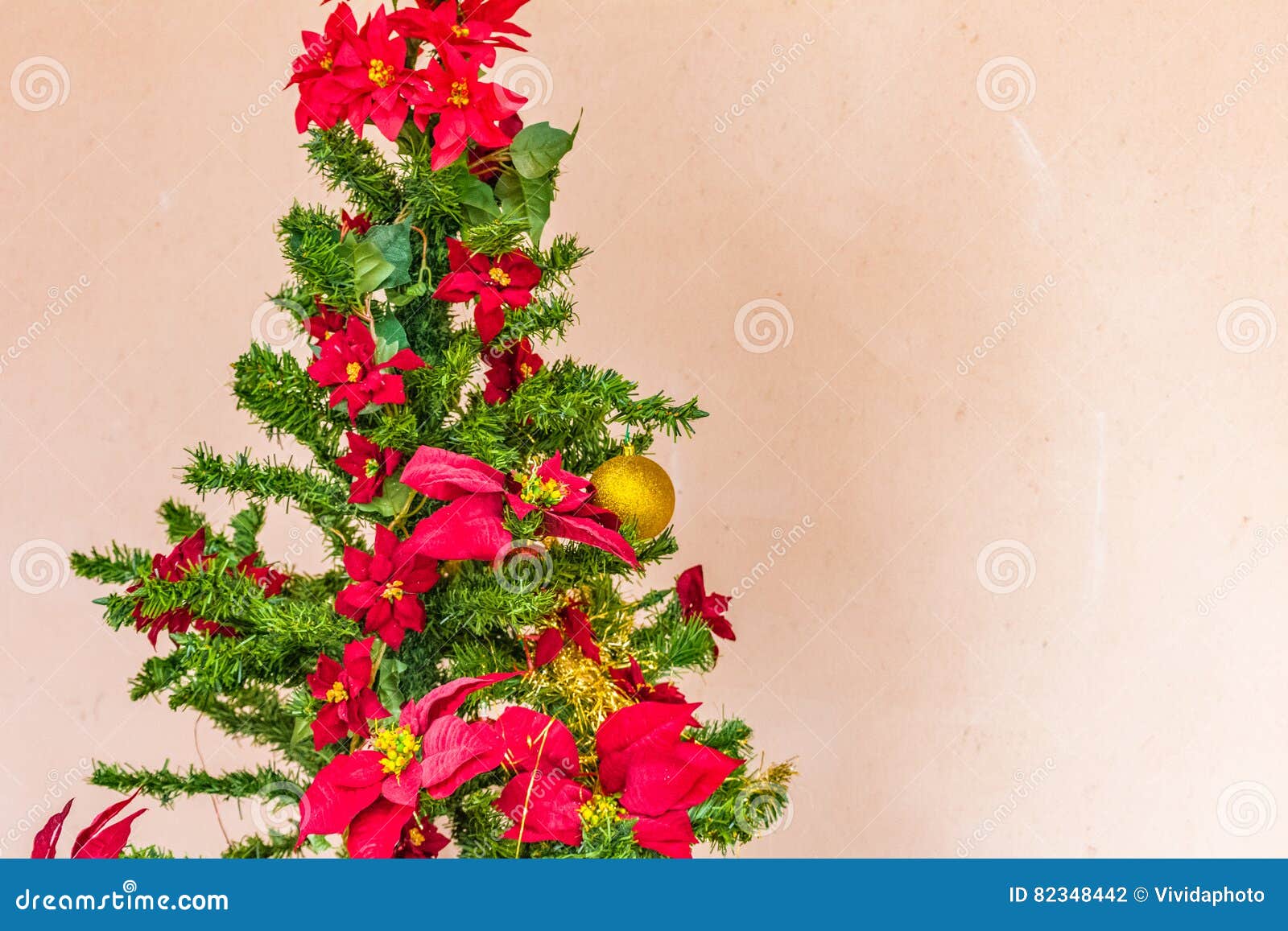 Christmas tree stock photo. Image of star, pulcherrima 82348442