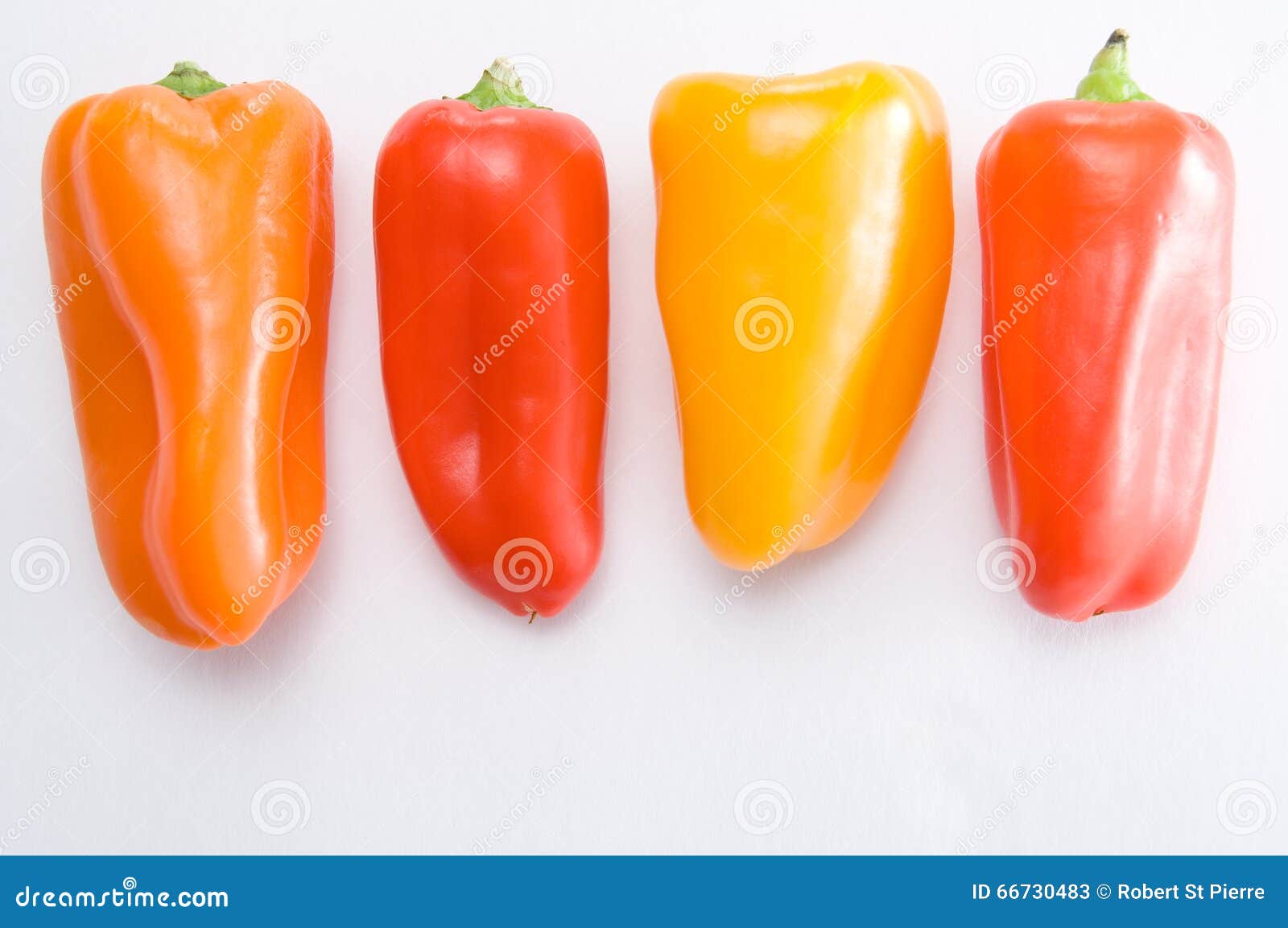 Red, Yellow and Orange Sweet Peppers on White Stock Image Image of