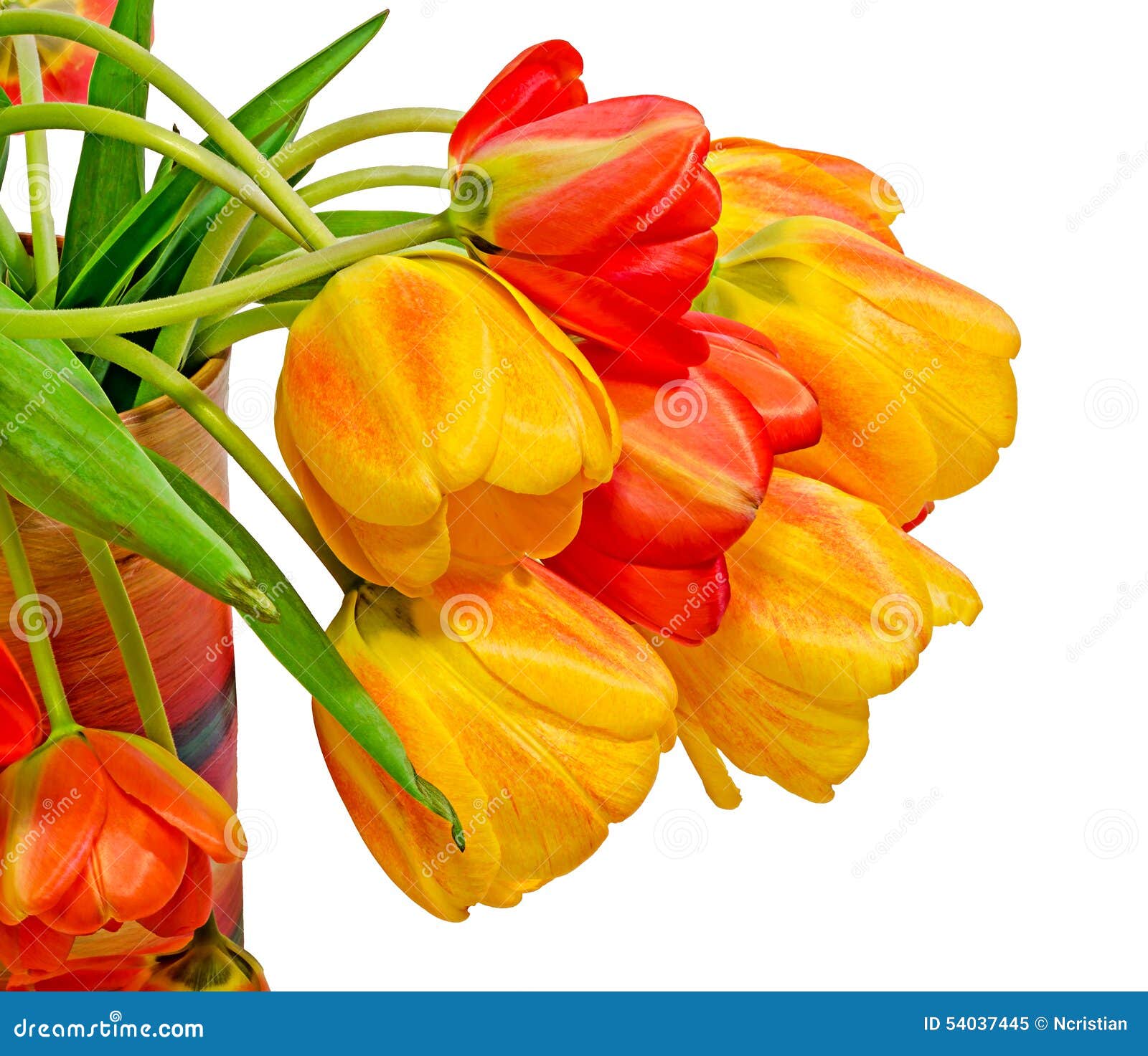 Red, Yellow and Orange Tulips Flowers, Floral Arrangement, Close Up ...