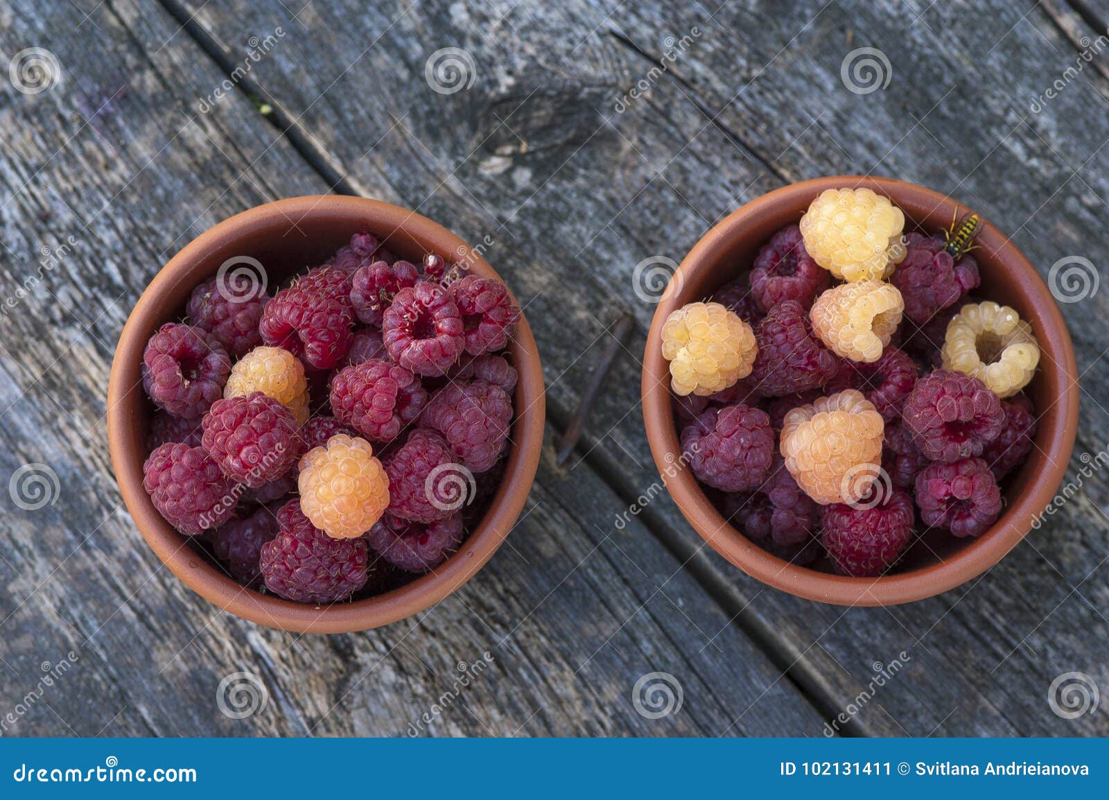 Download Red And Yellow Raspberries In A Cup Stock Image Image Of Background Gray 102131411 Yellowimages Mockups