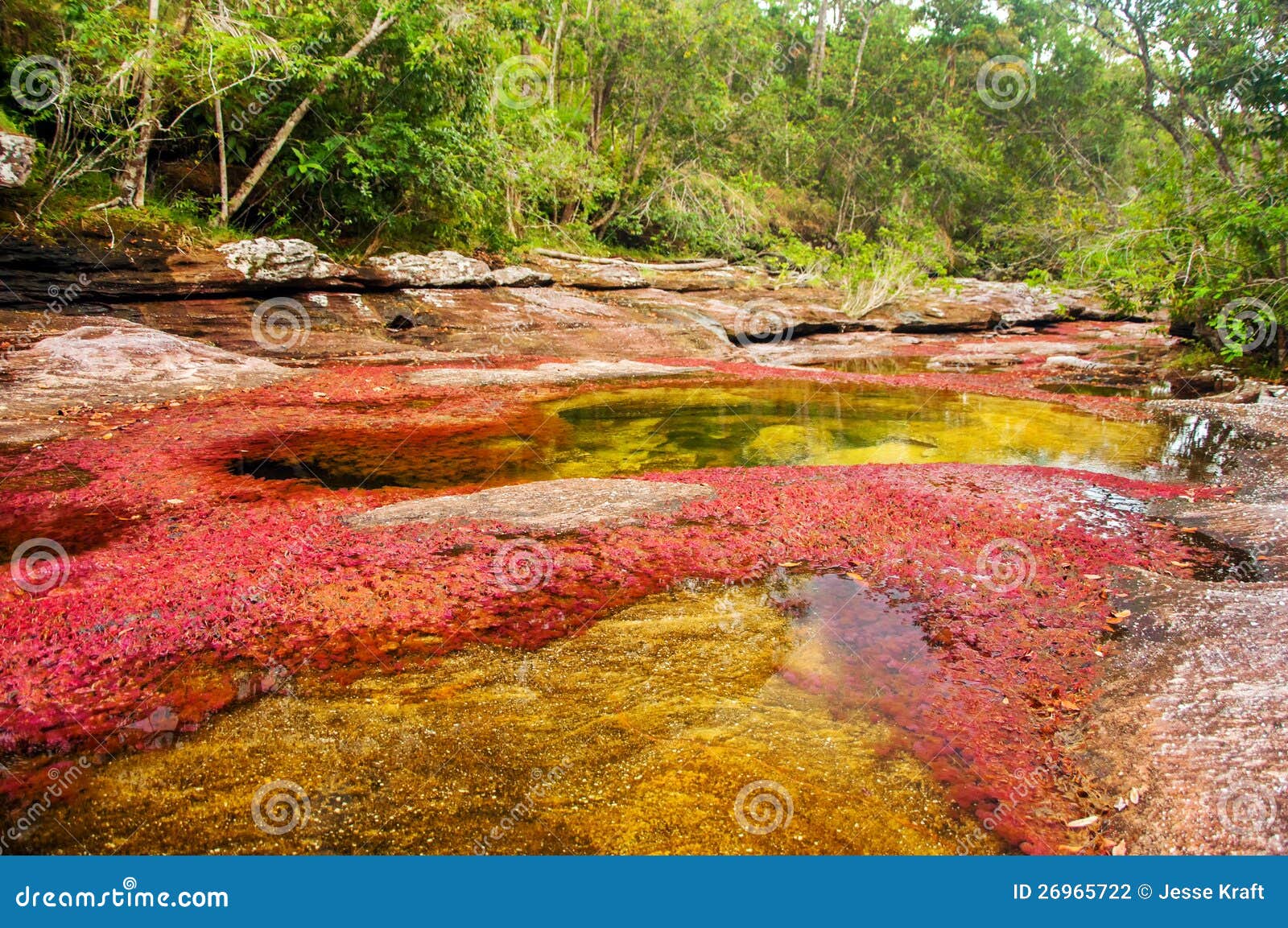 a red and yellow river in colombia