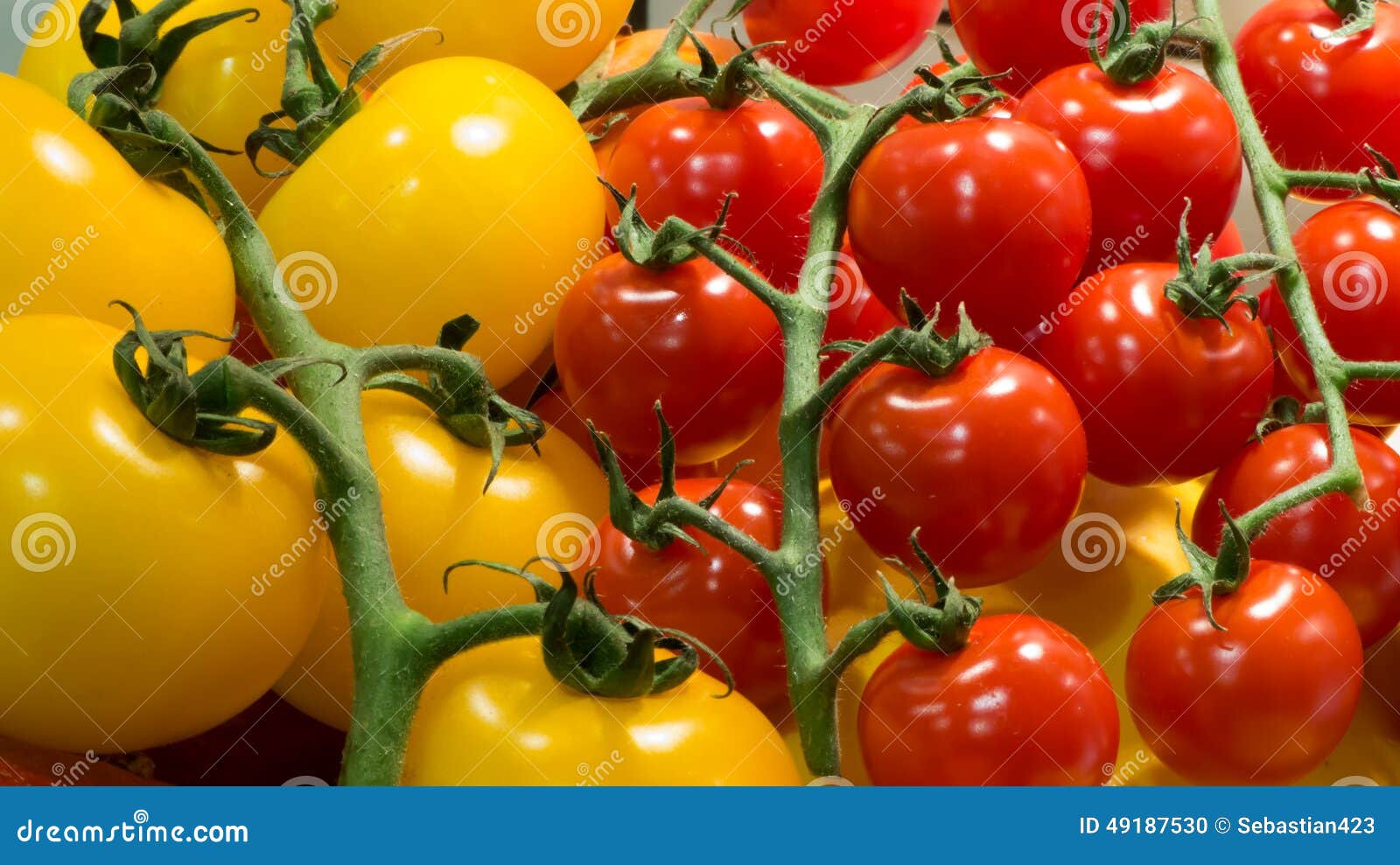Red and yellow tomatoes stock photo. Image of vegetables 49187530