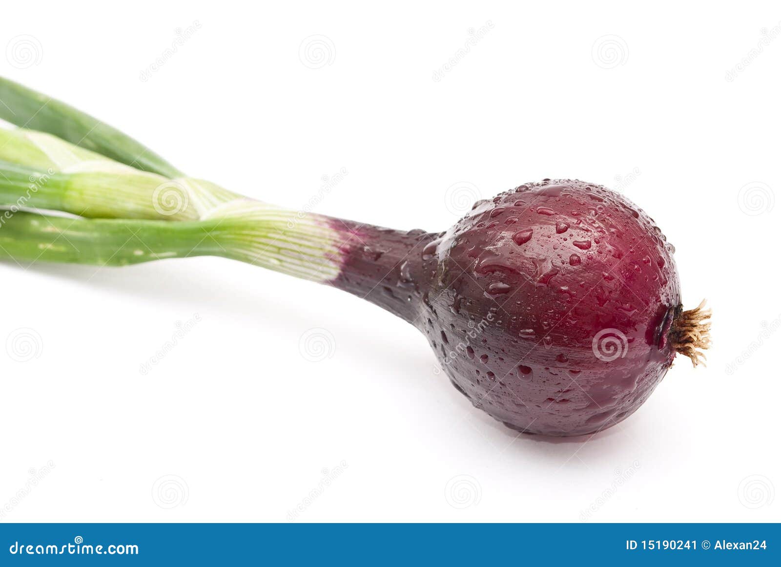 Red young onion stock image. Image of detail, isolated 15190241