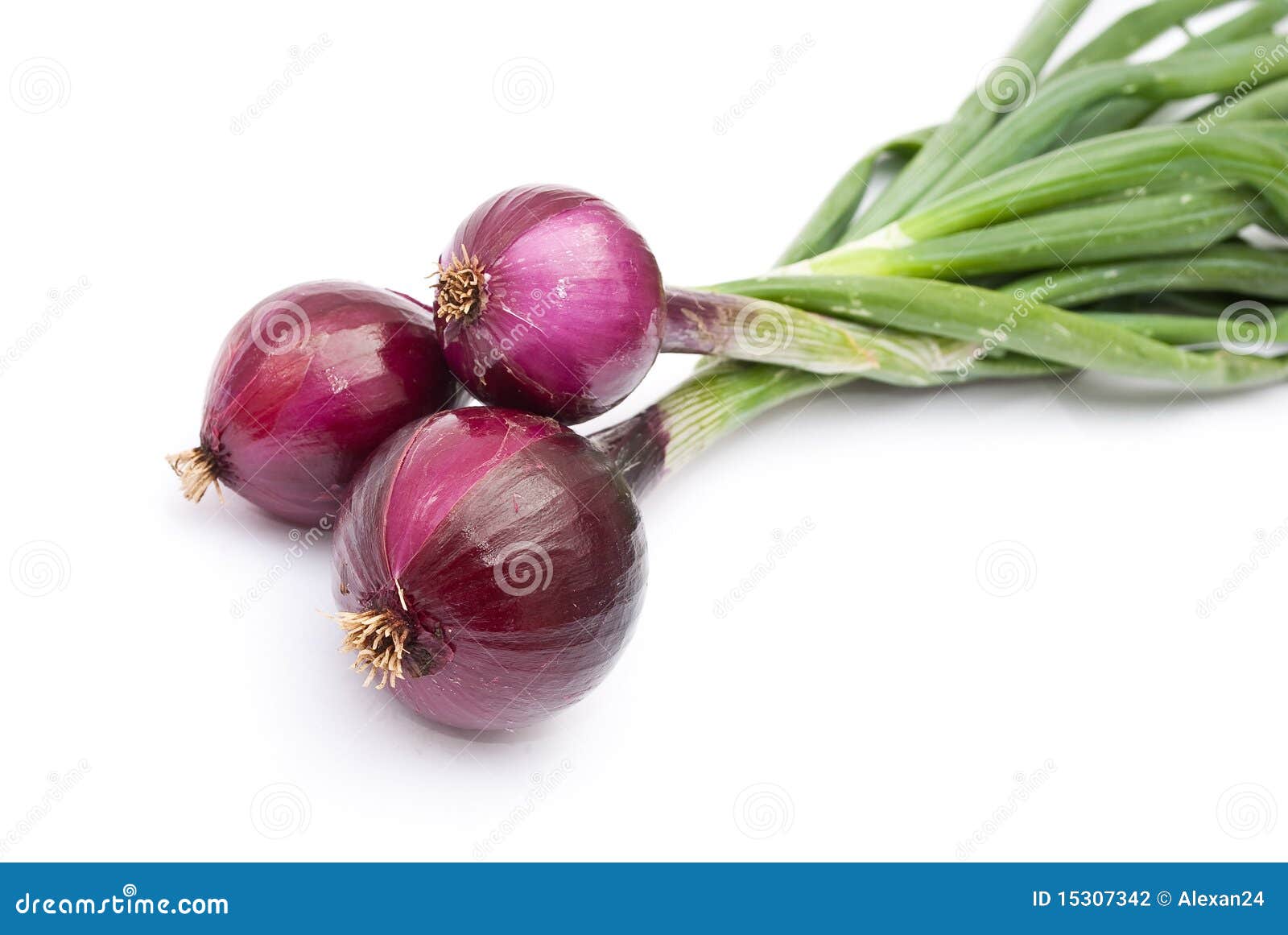 Red young onions stock photo. Image of organic, spanish 15307342