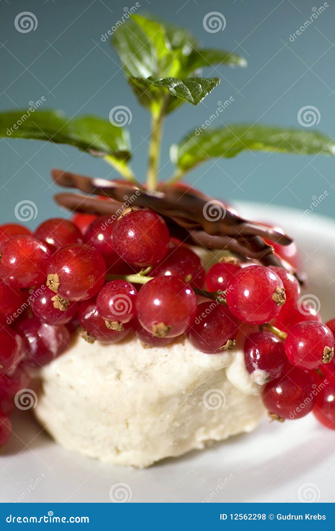 Redcurrants παγωτού κάστανων. Redcurrants μεντών παγωτού κάστανων