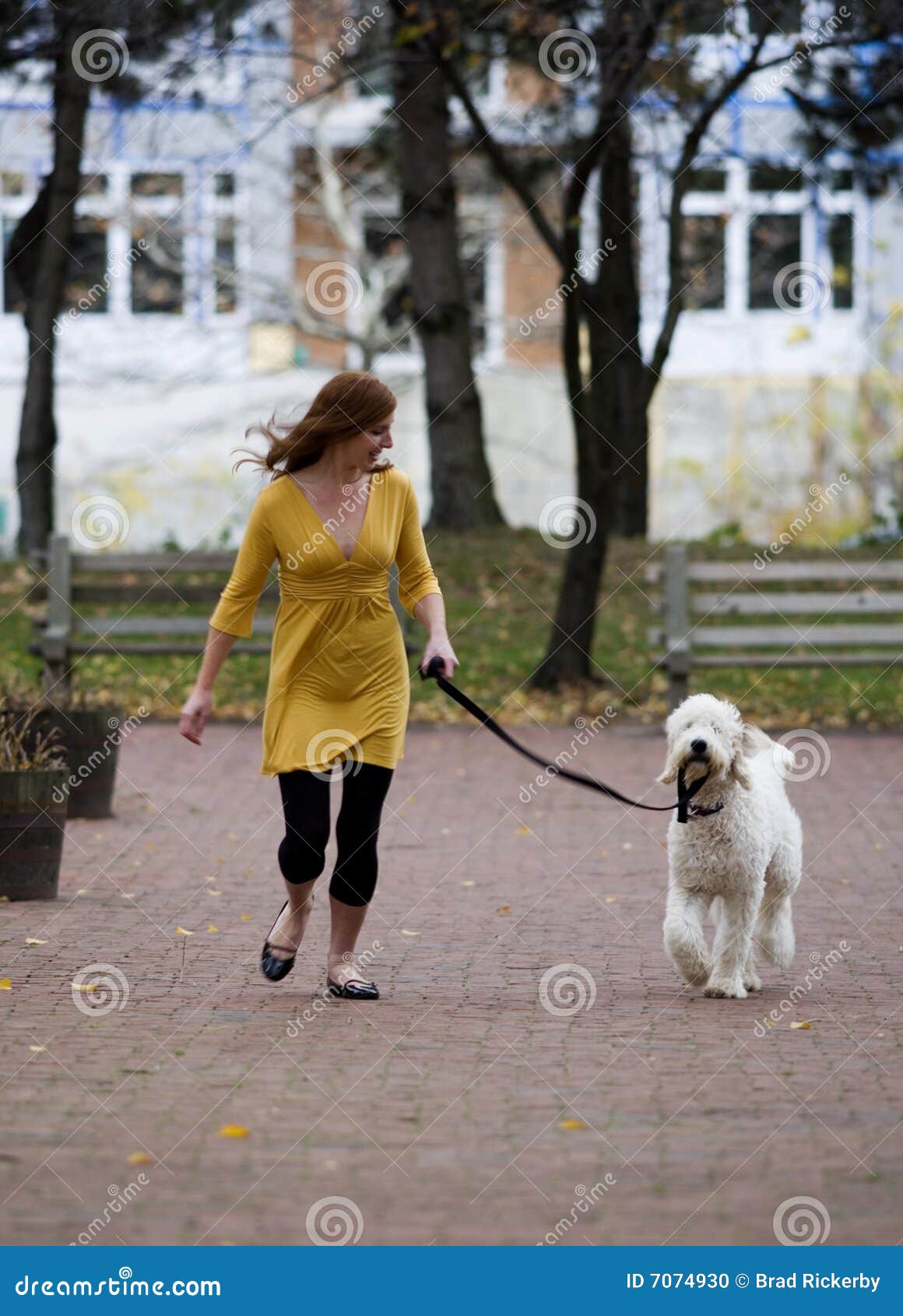 Redhead Walks Dog stock photo. Image of woman, cannine 7074930