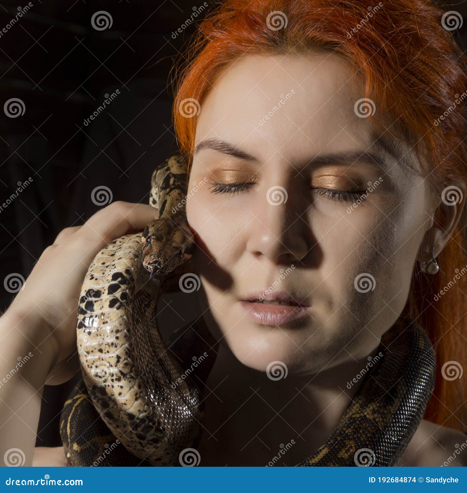 Redhead Woman Holding Snake. Close-up Photo Girl with Pygmy Python on a ...