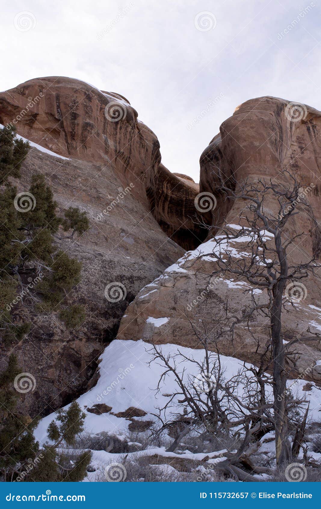 redrock formation with snow and pine trees moab utah