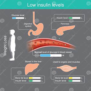 Low Insulin Levels Insulin Levels Chart Brilnt Low Insulin Levels Insulin Levels Chart Brilnt