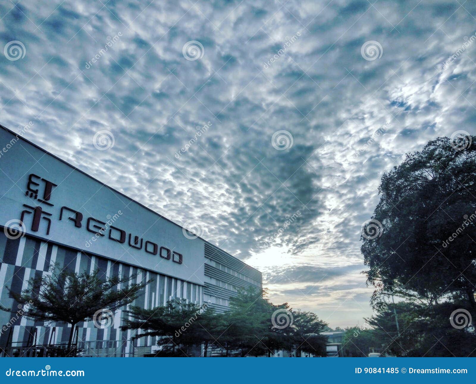 Redwood Company in Malaysia Editorial Image Image of building