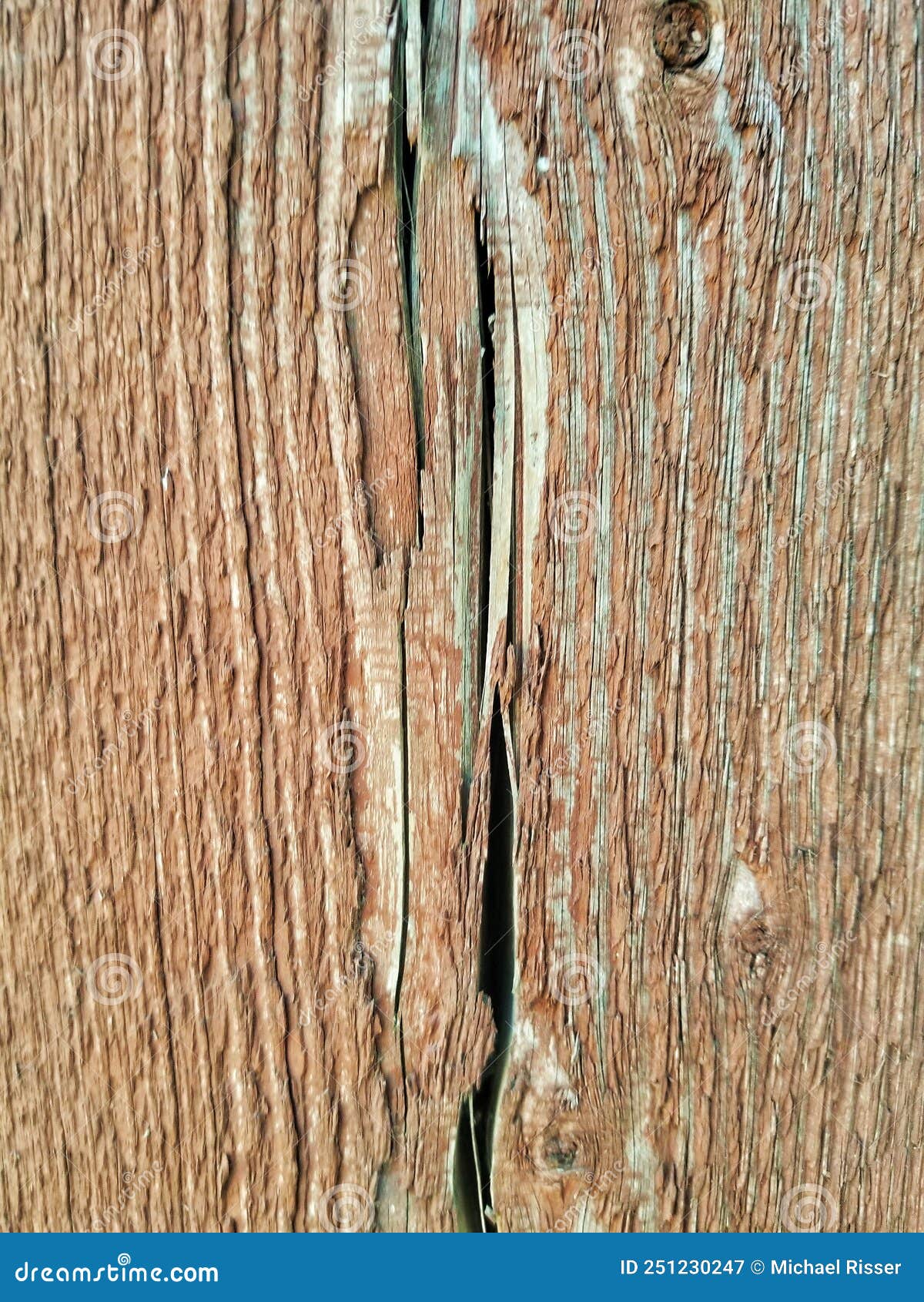 Redwood Texture and Grain Pattern Stock Image Image of lumber