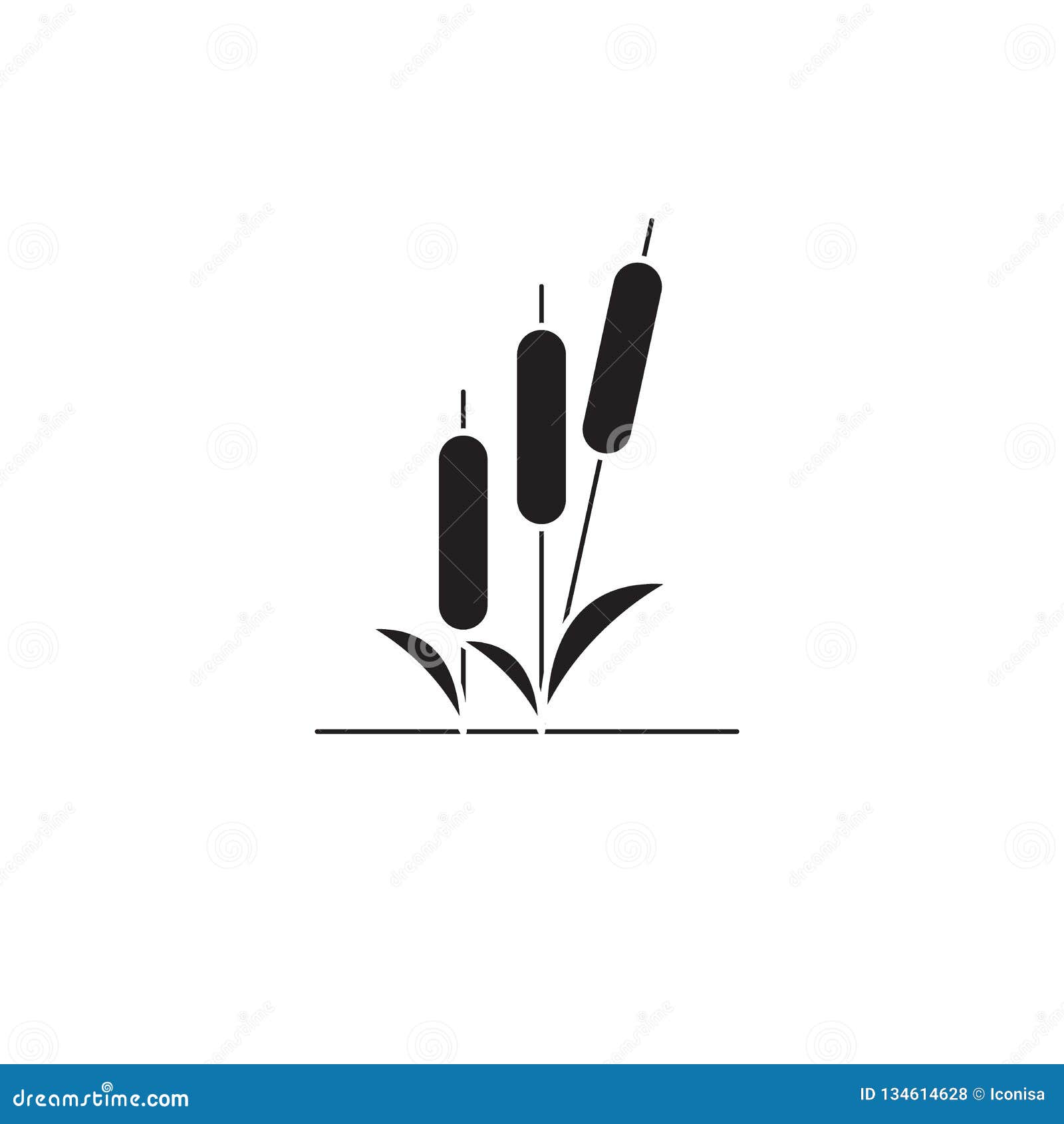 Reed Black Vector Concept Icon. Reed Flat Illustration, Sign Stock ...