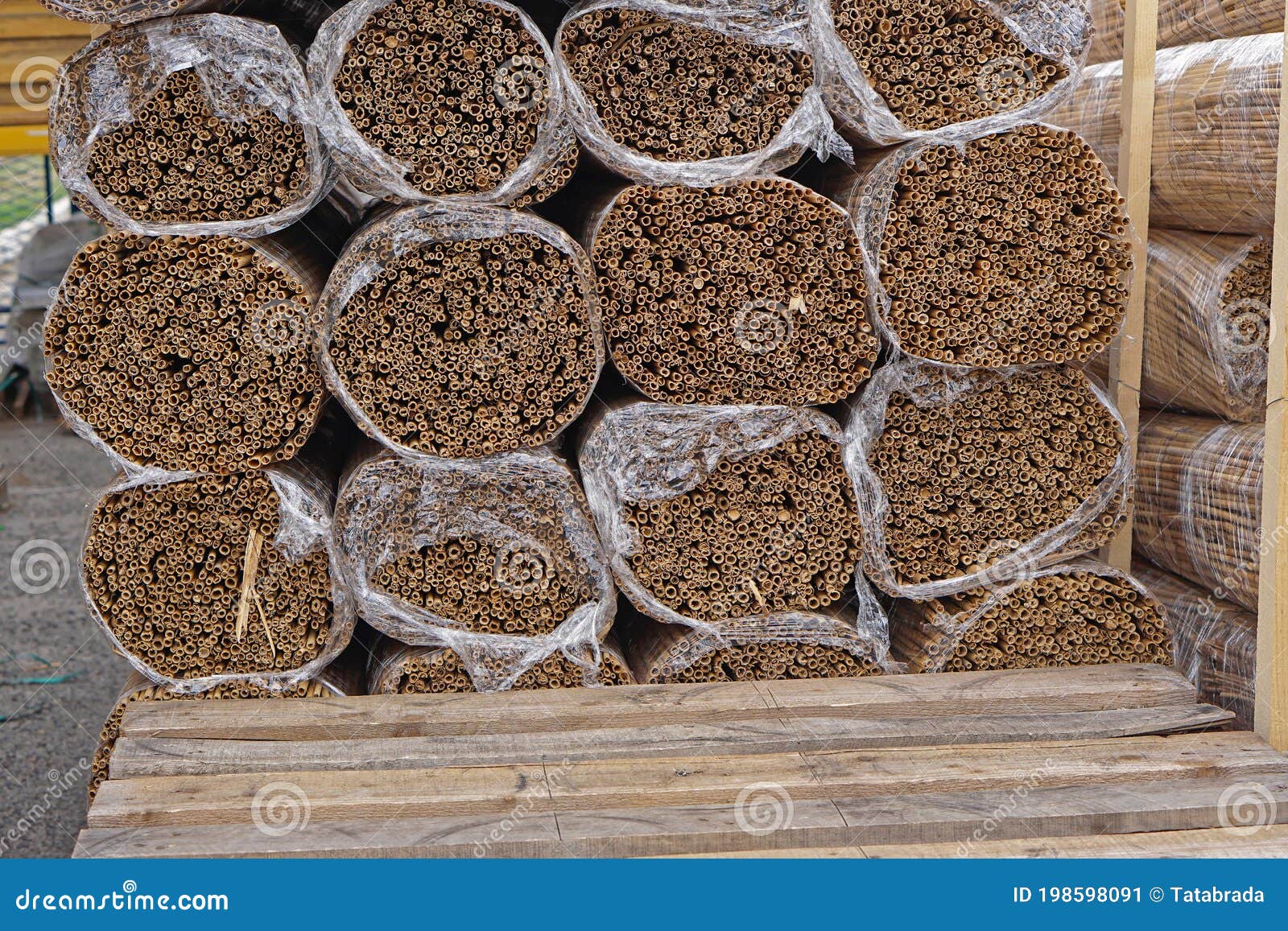 Reed in bundles stock image. Image of reed, material 198598091