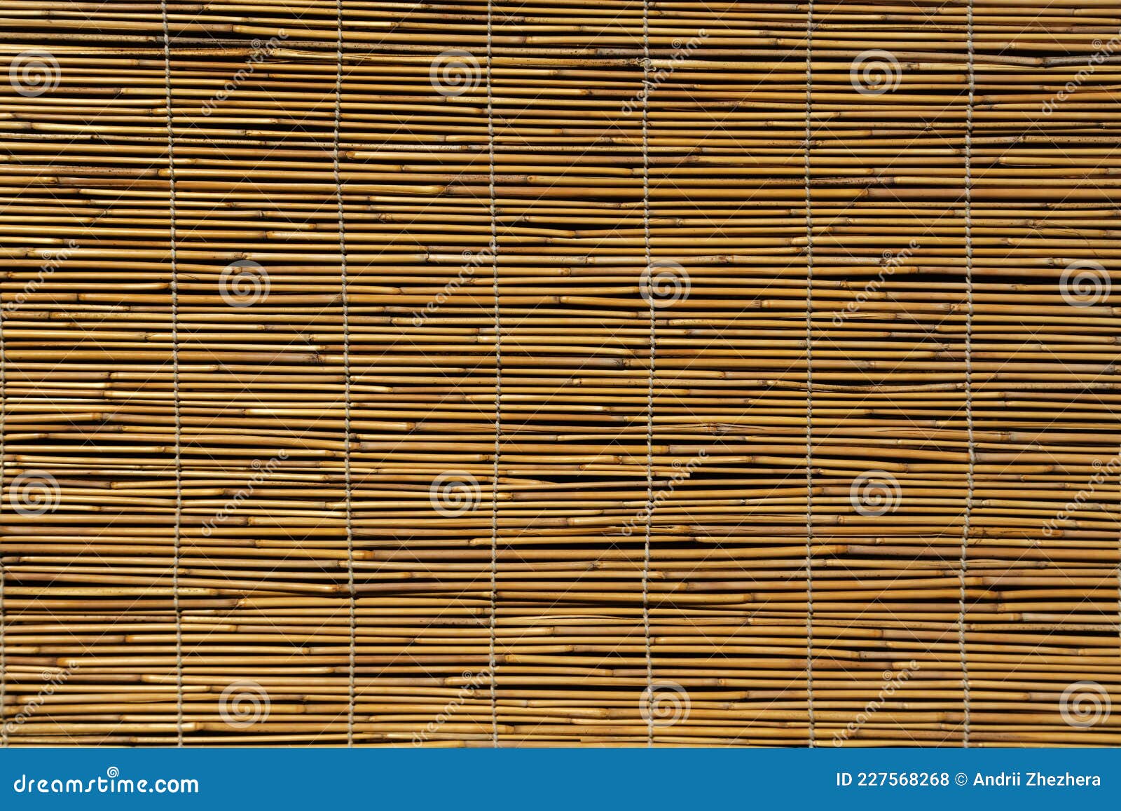 Reed Curtain Background, Closeup Texture of Dry Reeds Stock Photo