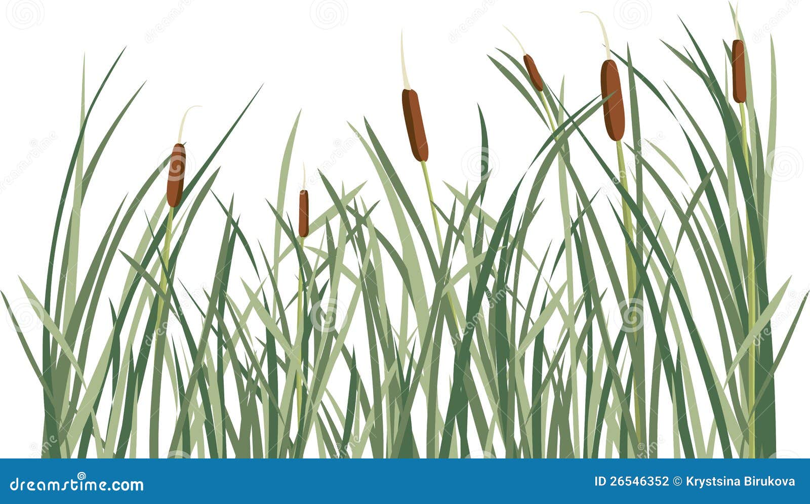 reed and green grass background