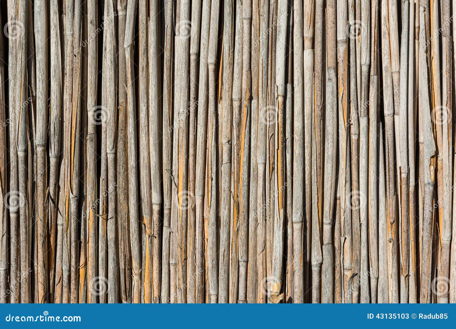 Reed Texture stock image. Image of bunch, natural, roof 43135103