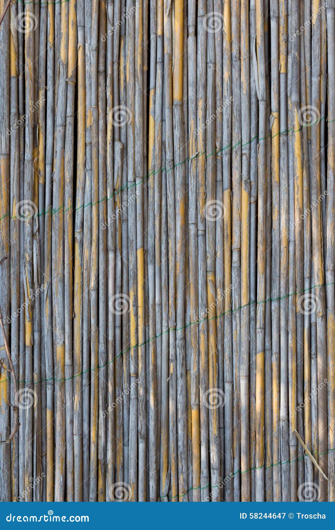 Reed wall texture stock image. Image of reed, cane, texture - 58244647