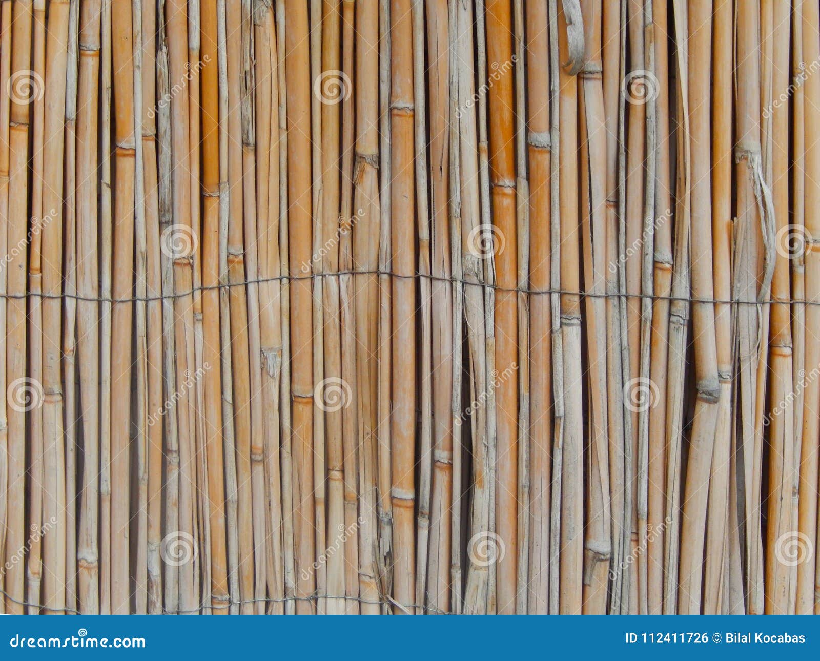 Reeds cane wall texture stock photo. Image of reed, thatched 112411726