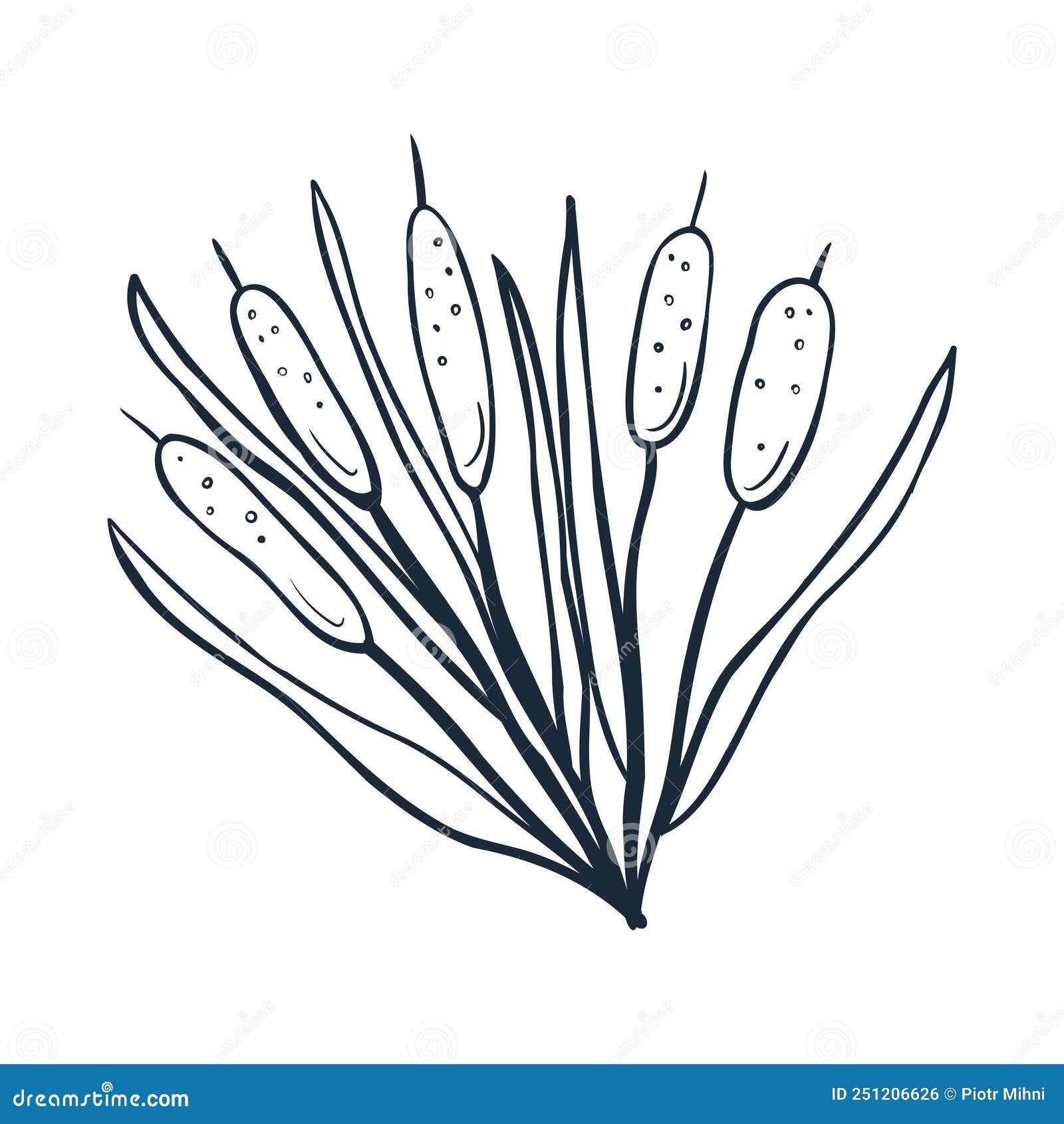 reeds line art.   with scribbles on the theme of cozy autumn. cute  for greeting cards, posters, stickers