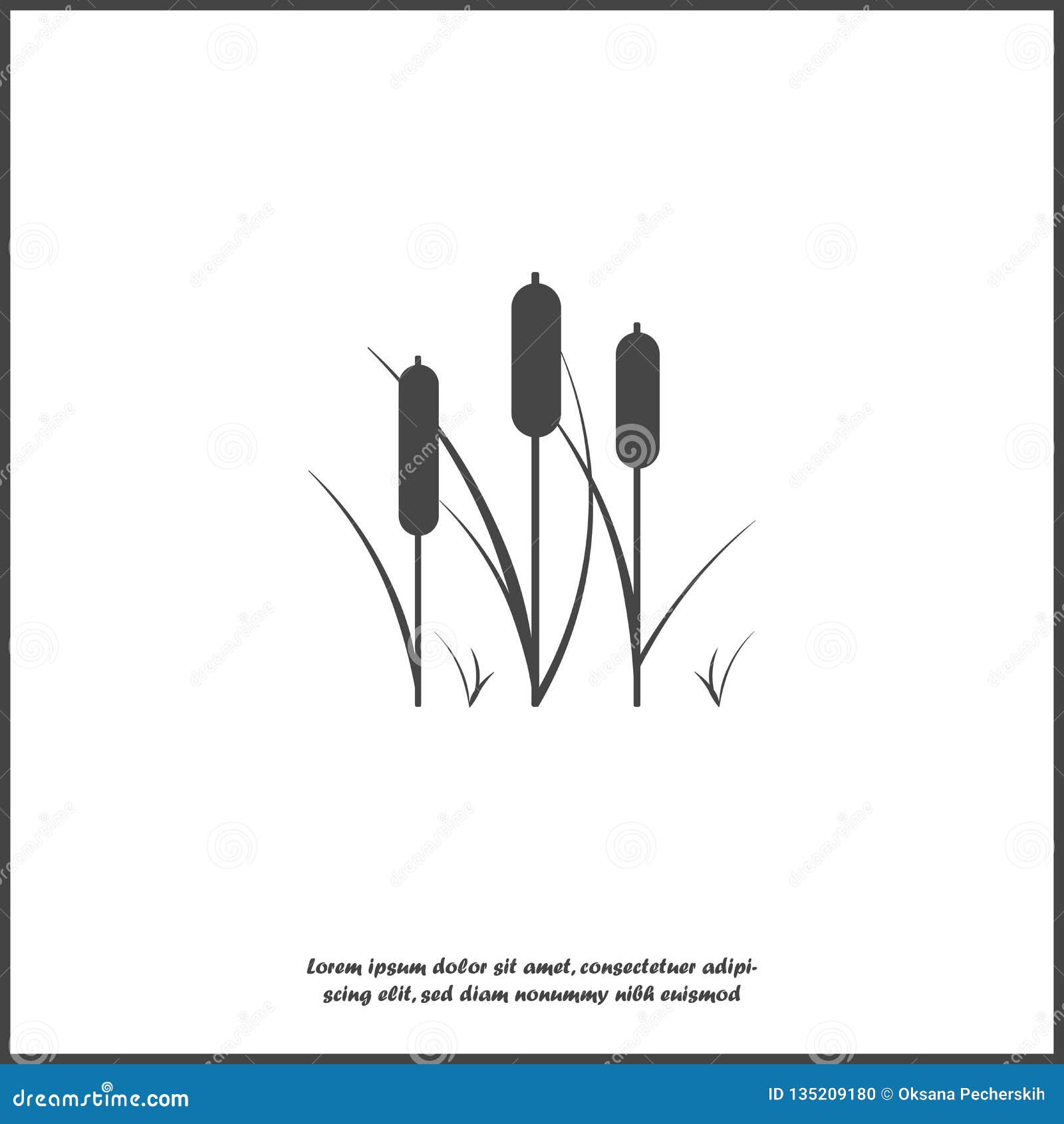 Reeds Plant Vector Icon. Illustration of Reeds on White Isolated ...