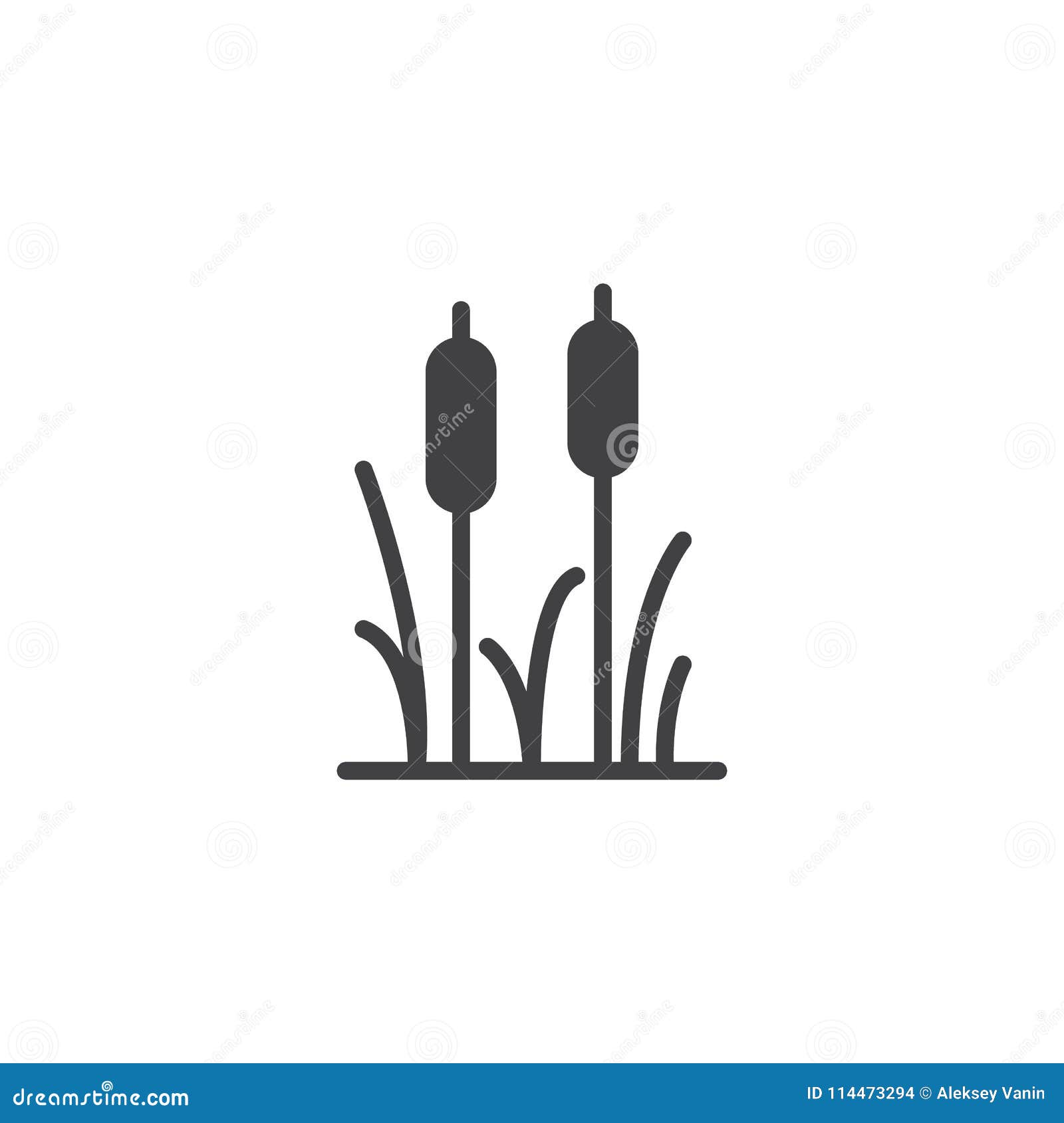 Reeds plant vector icon stock vector. Illustration of flat - 114473294