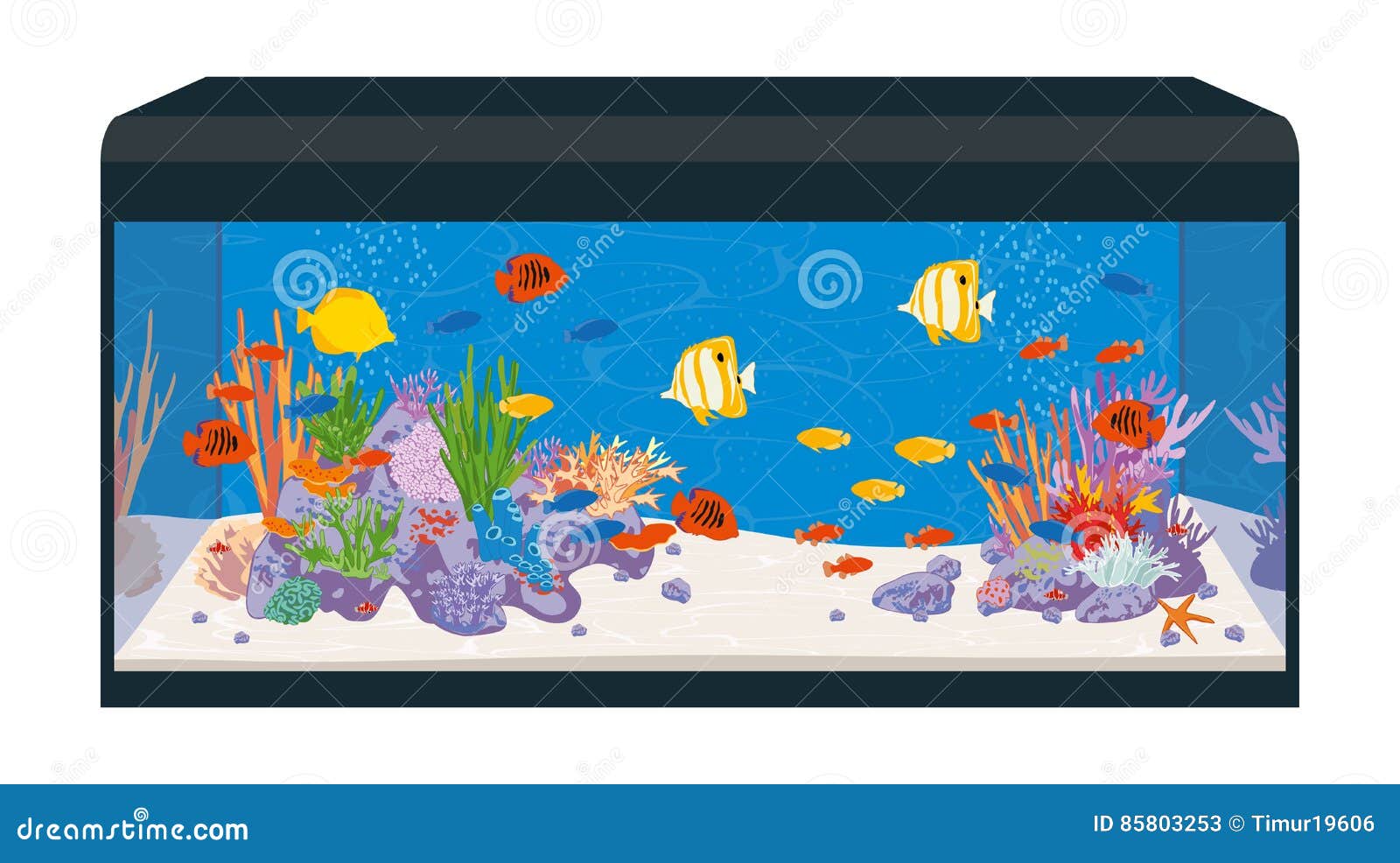 Reef aquarium stock vector. Illustration of colorful 85803253