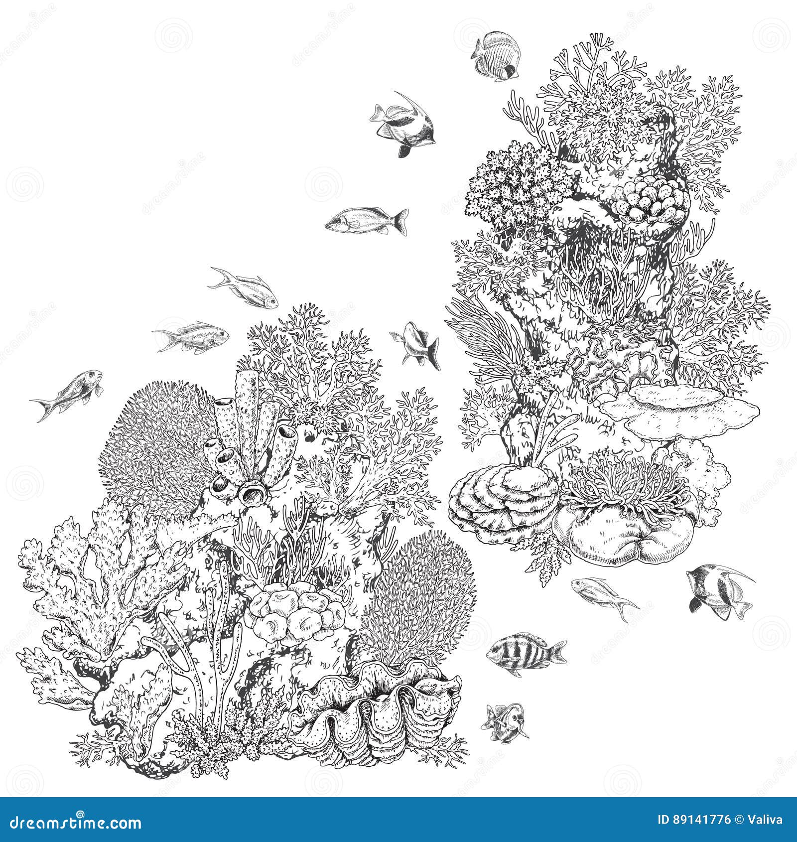 Reef Corals and Fishes stock vector. Illustration of coloring - 89141776