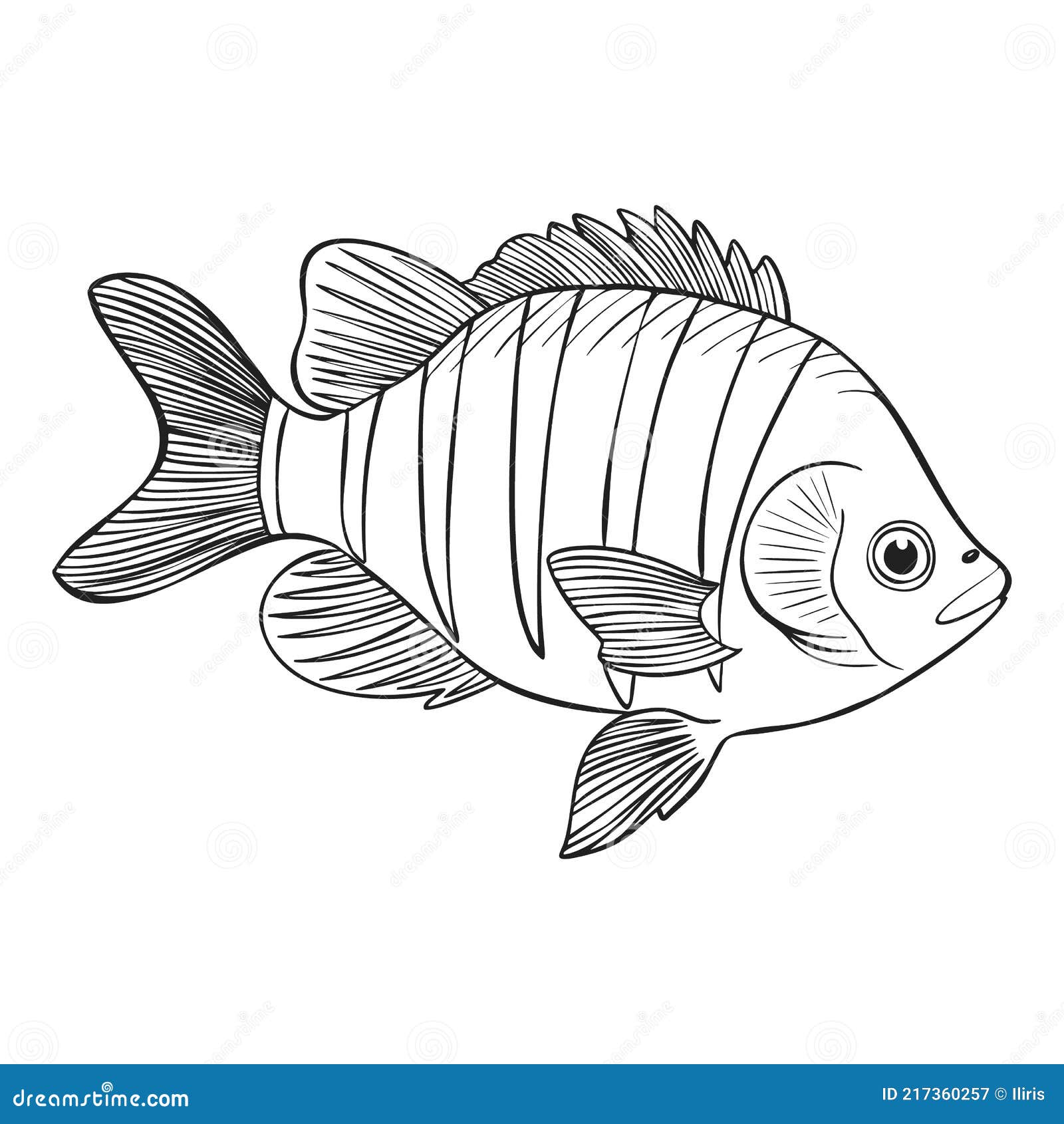 How to Draw a Fish 🐟 #drawing #draw #fish #art #fishart Bring