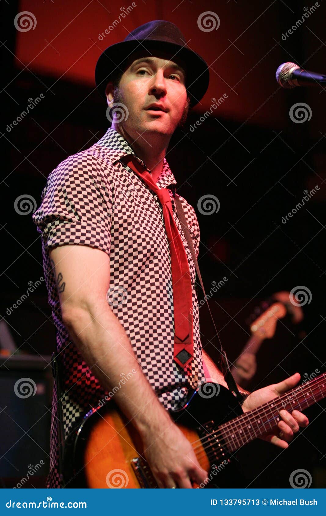 Reel Big Fish Perform in Concert Editorial Stock Photo - Image of  entertainment, fish: 133795713
