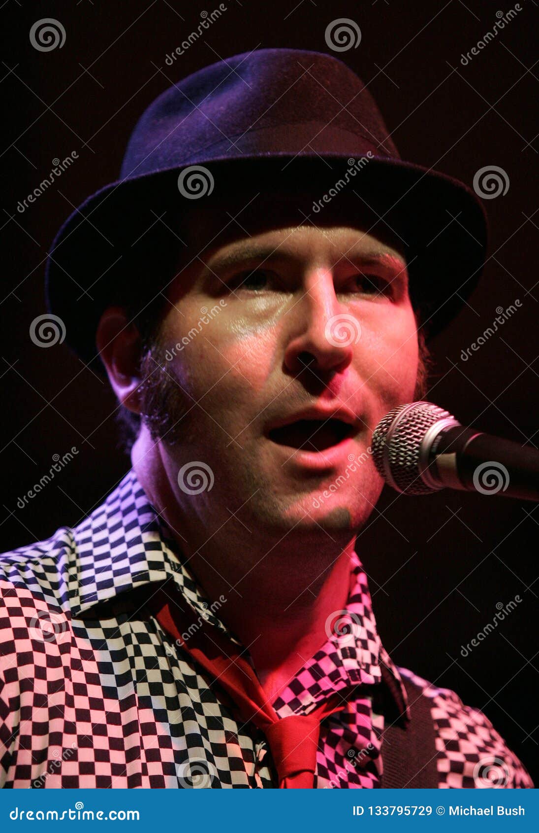 Reel Big Fish Perform in Concert Editorial Stock Image - Image of aaron,  fish: 133795729