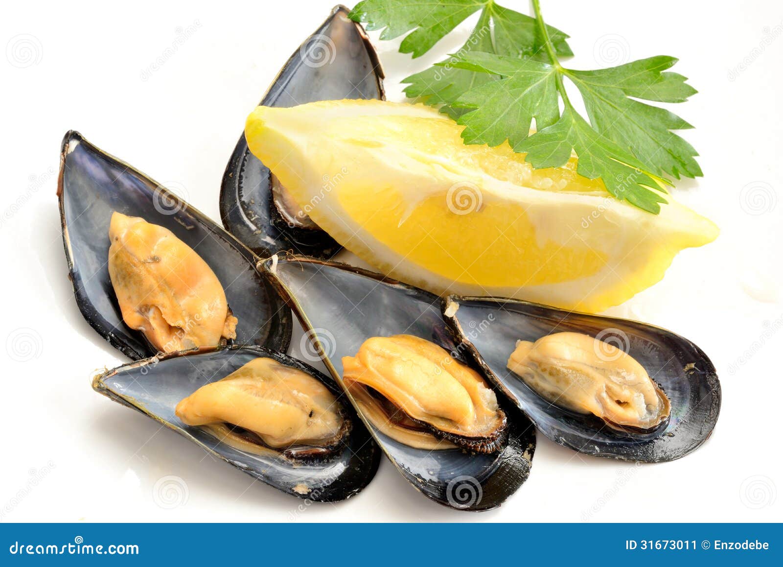 Ref mussels with lemon stock image. Image of water, lemon 31673011